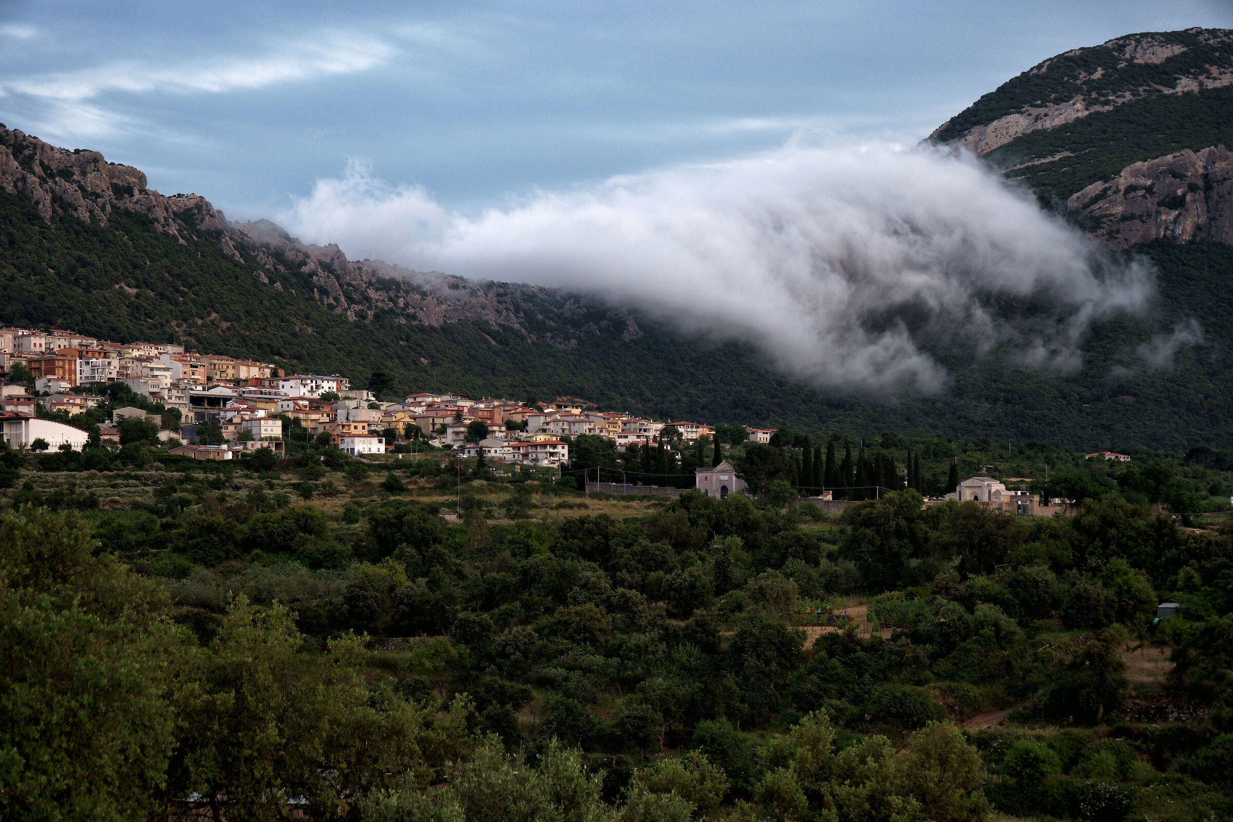 Dorgali