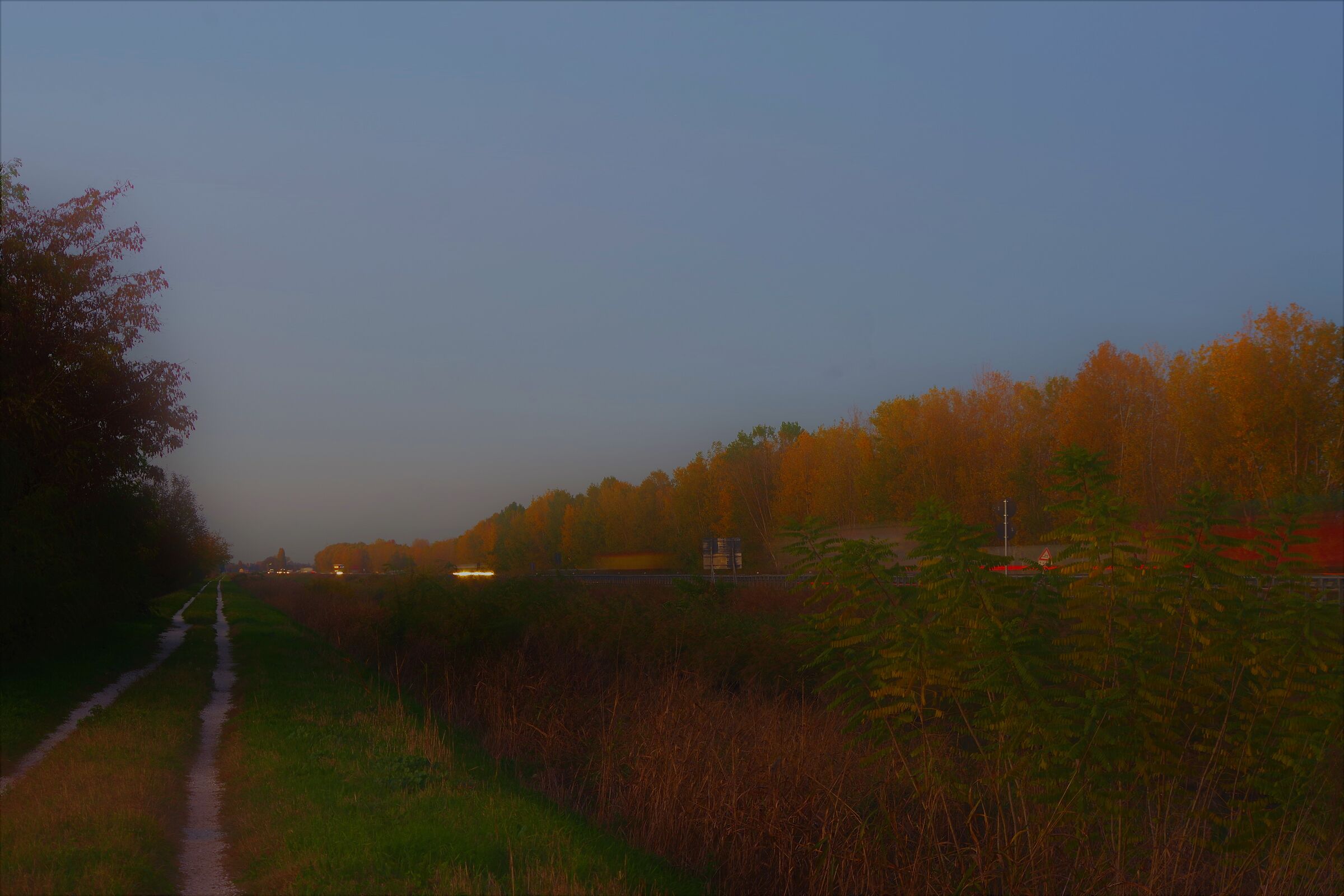 Foschia sull' argine