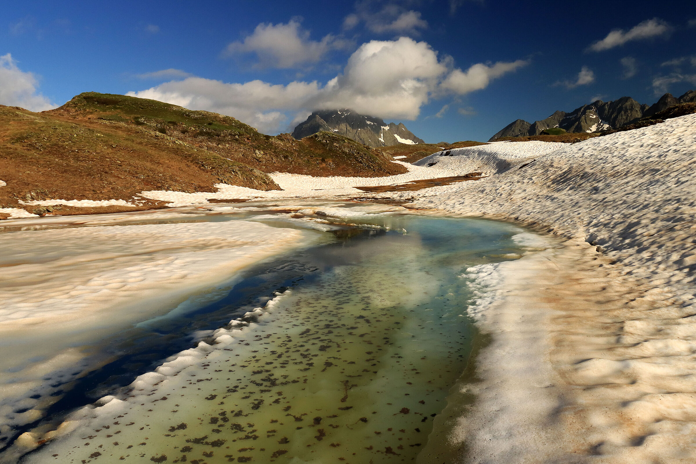the Coke with the cloud