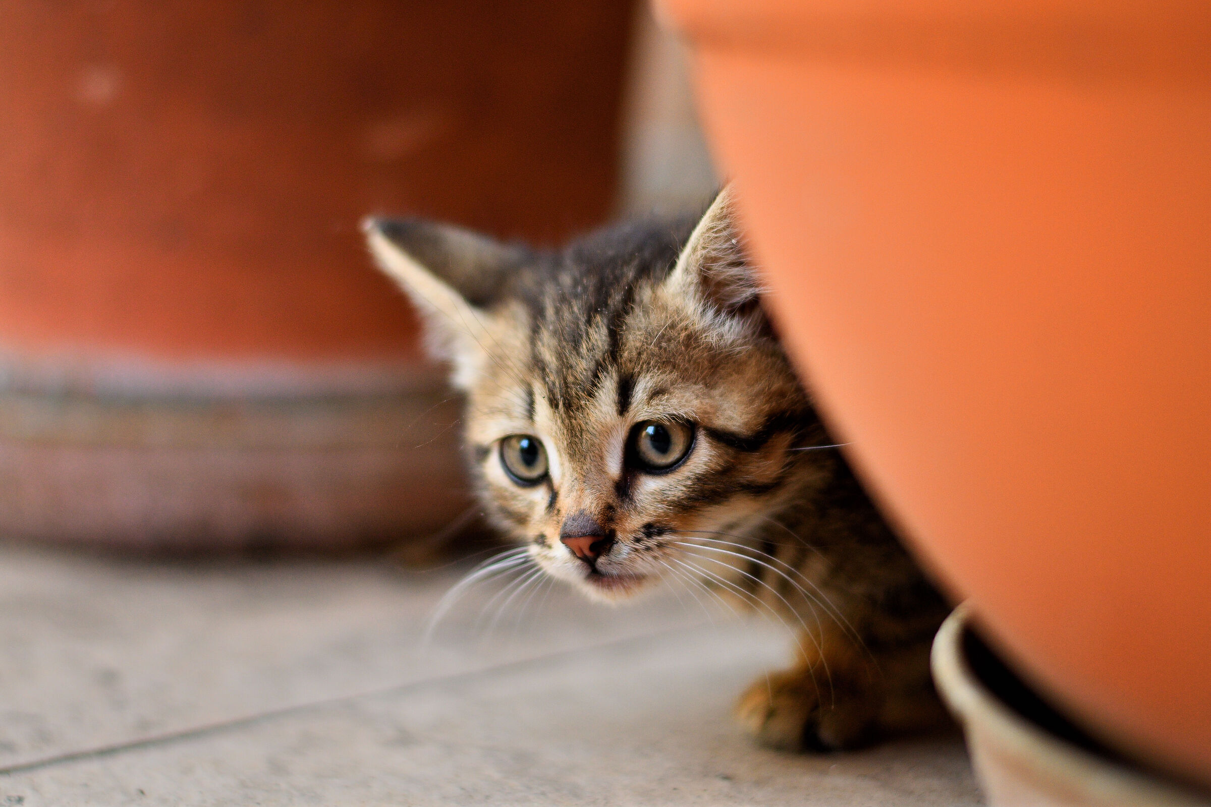 Alla scoperta del mondo