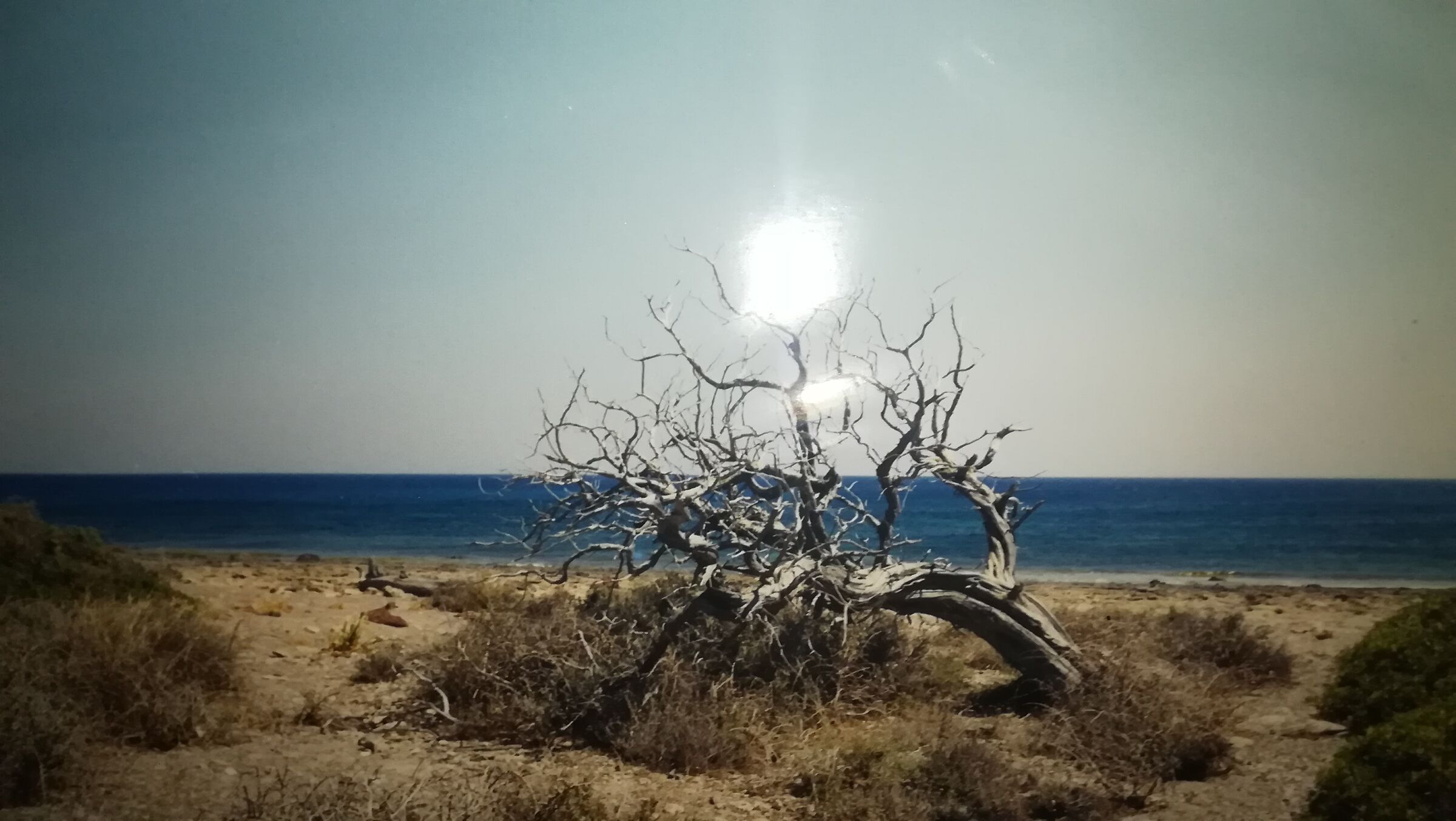 Koufonissi Island (Crete - Greece)