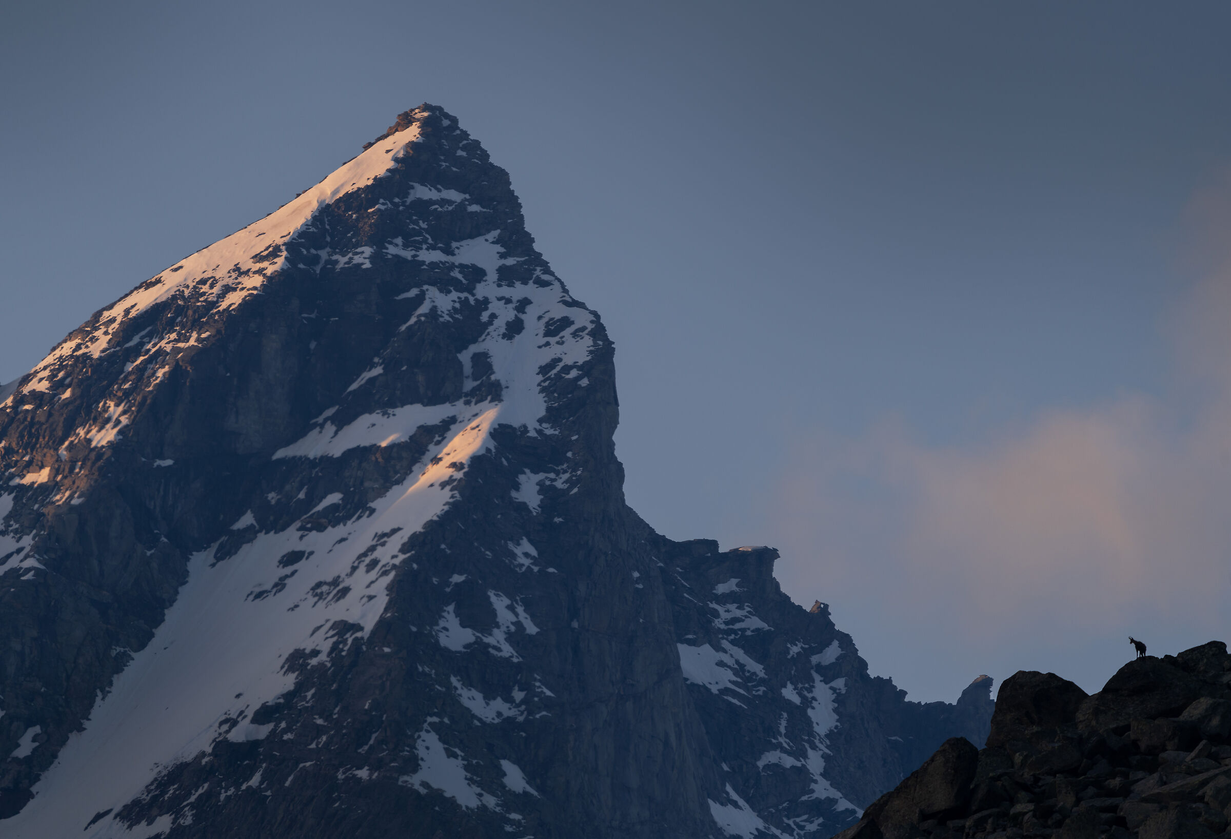 Becca of Monciair and Suede