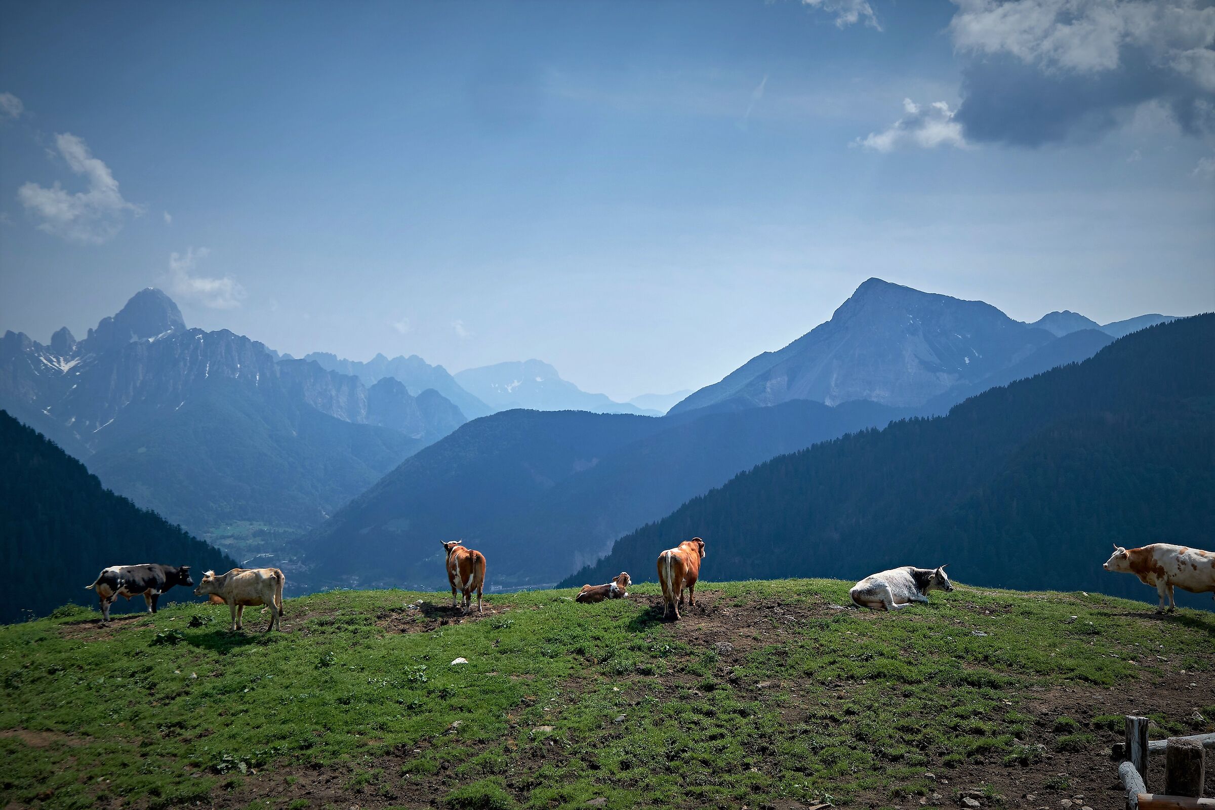 Malga sopra Paularo
