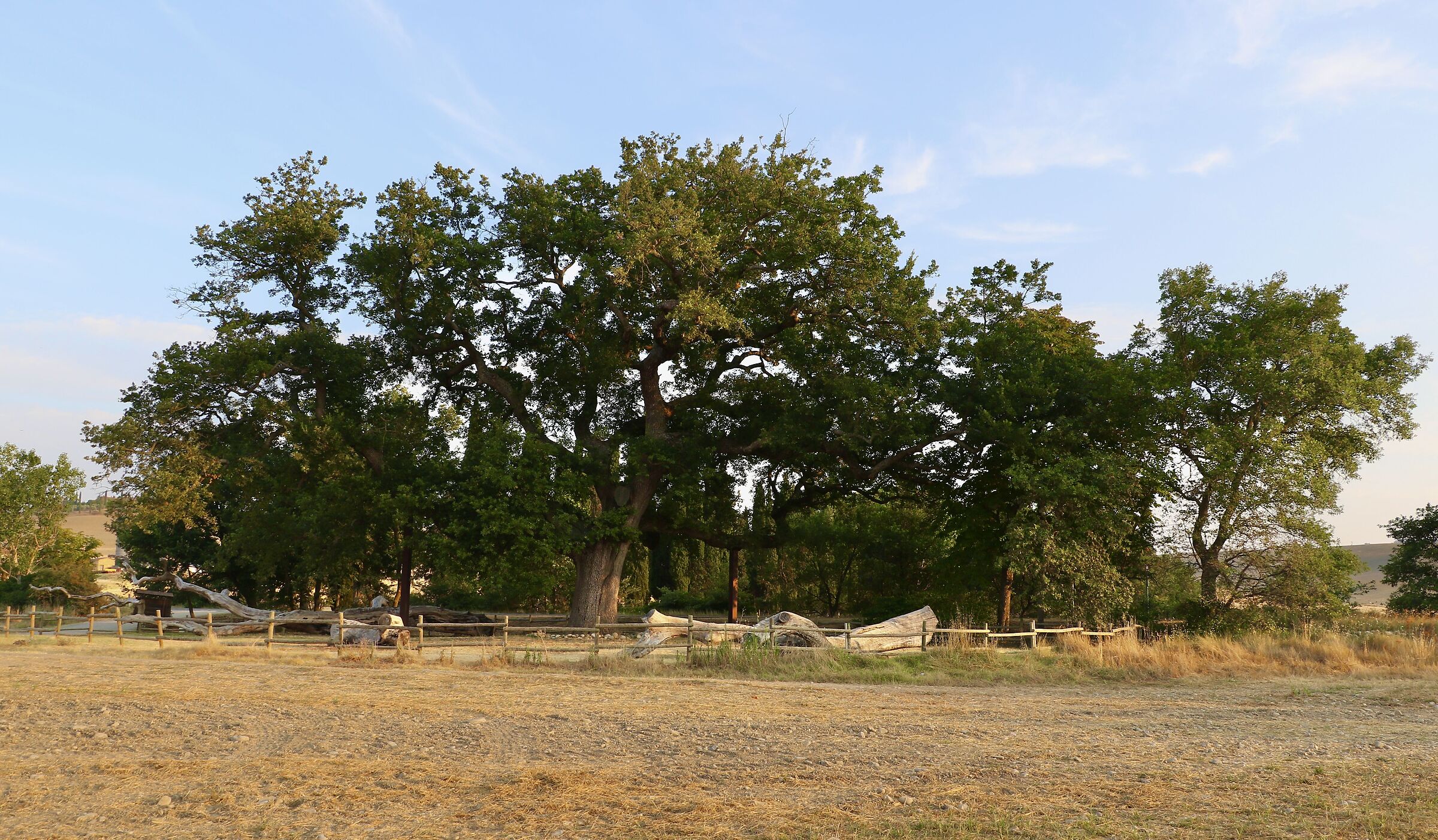 The Quercia delle Checche