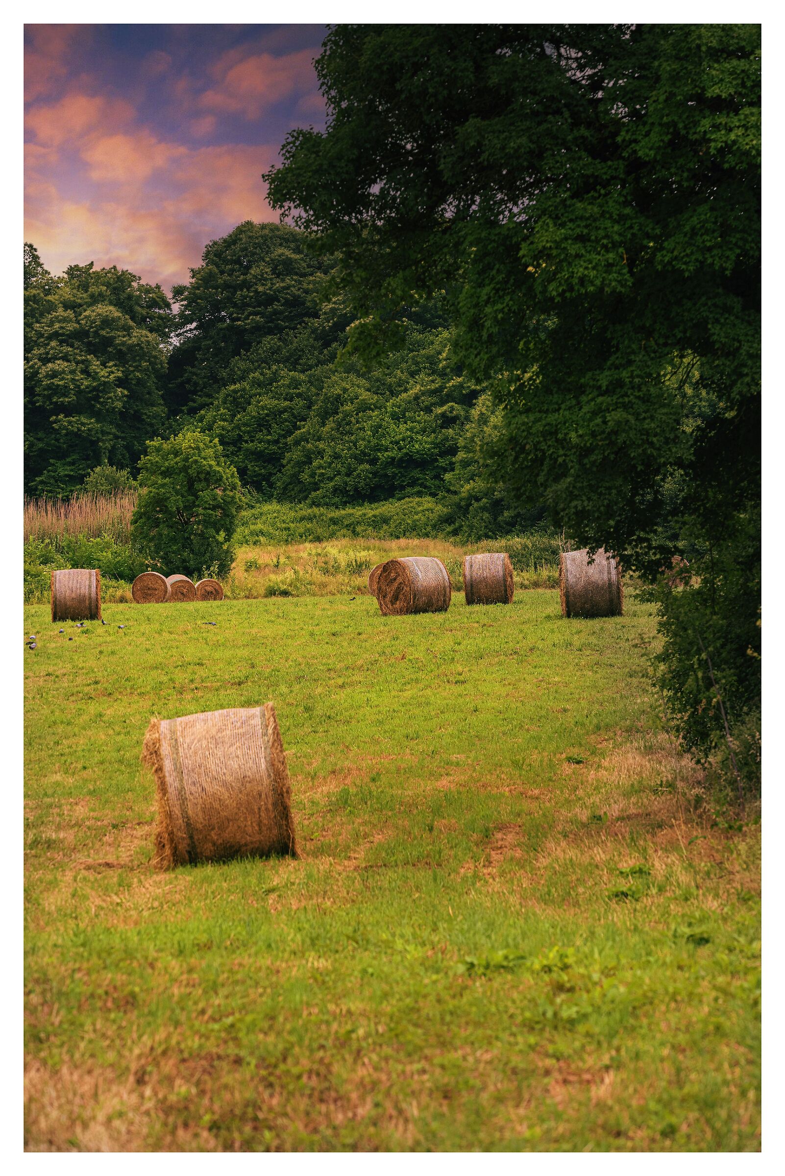 Hay bales at sunset