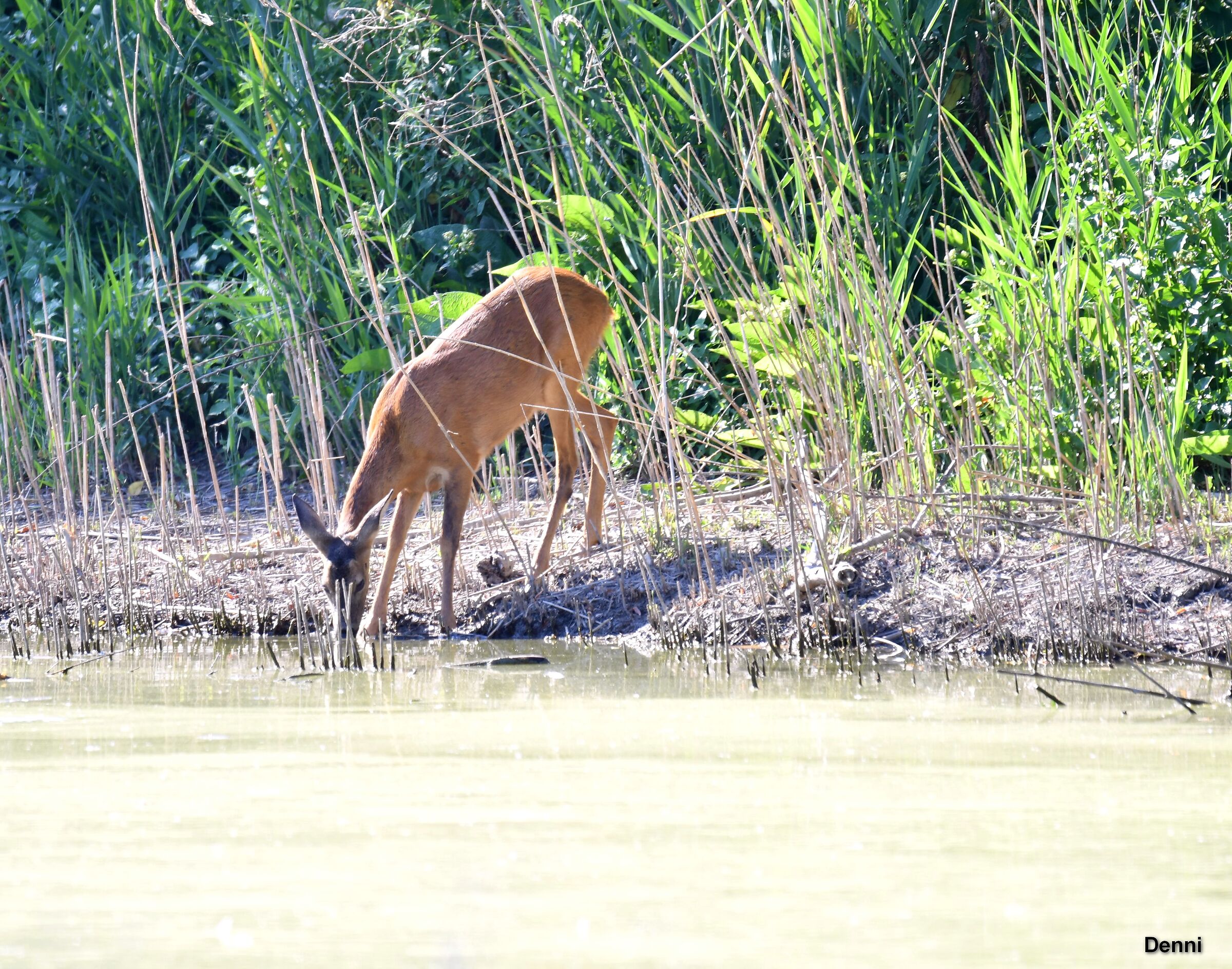 in the heat you drink