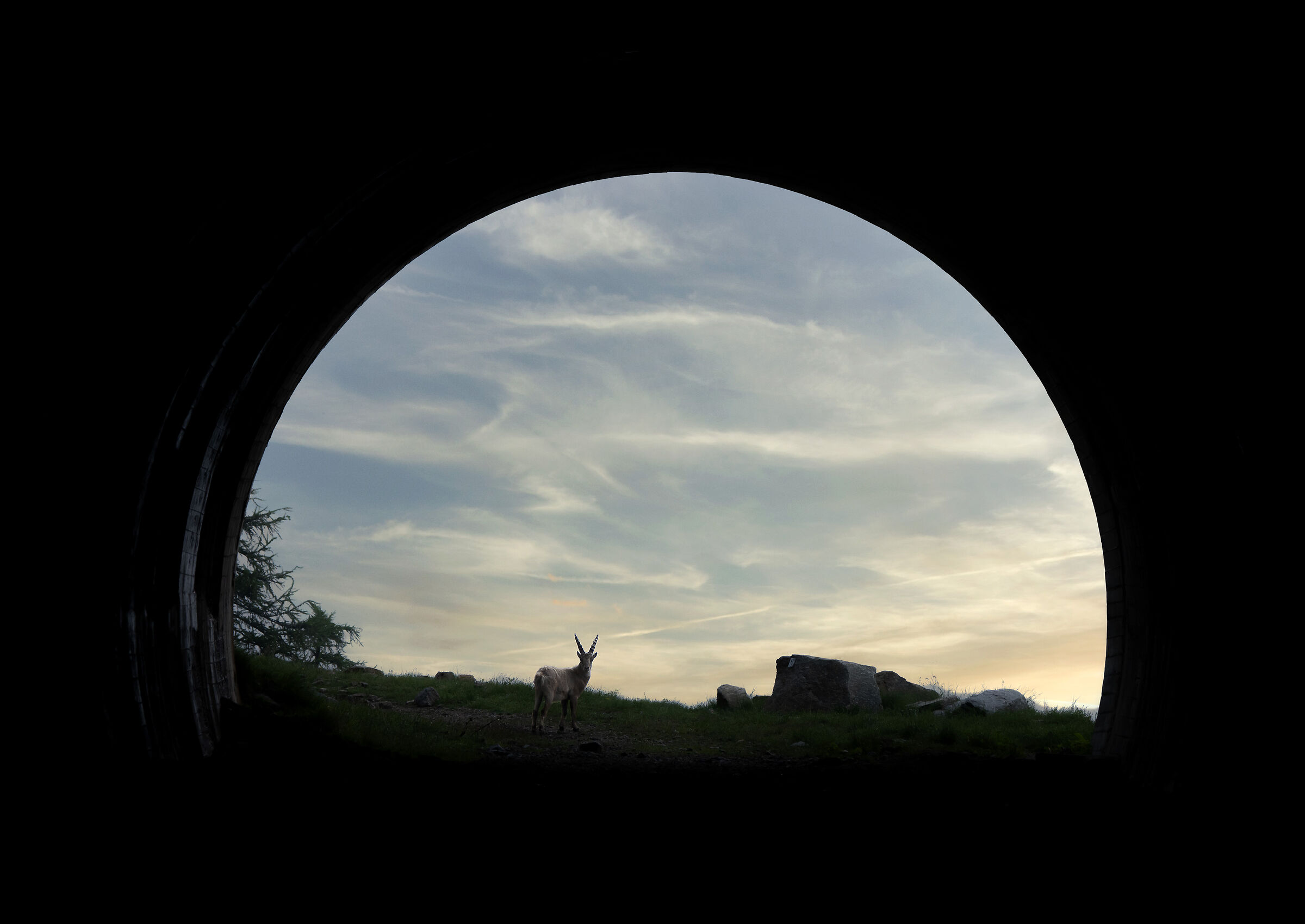 Sono fuori dal tunnel