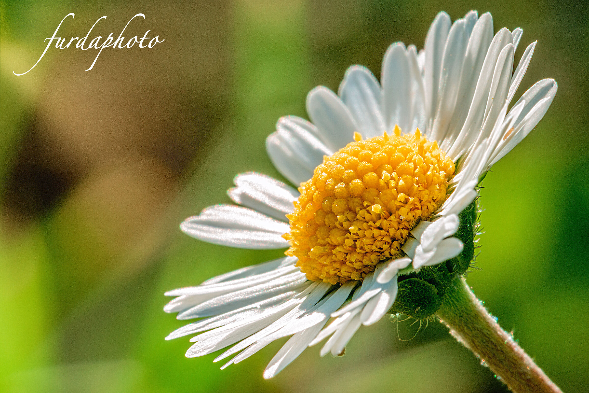 Looking for something....