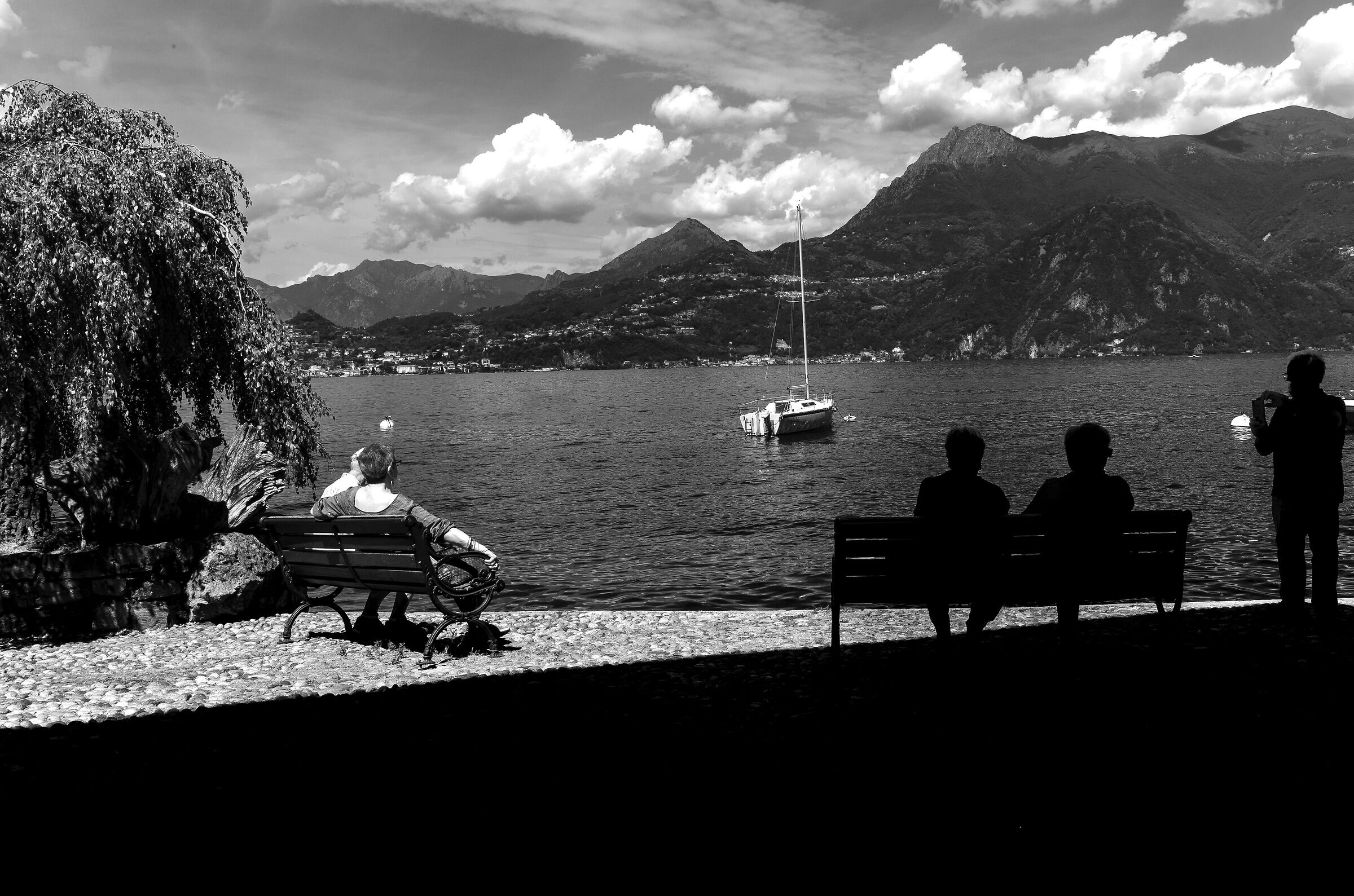 Photographing in black and white