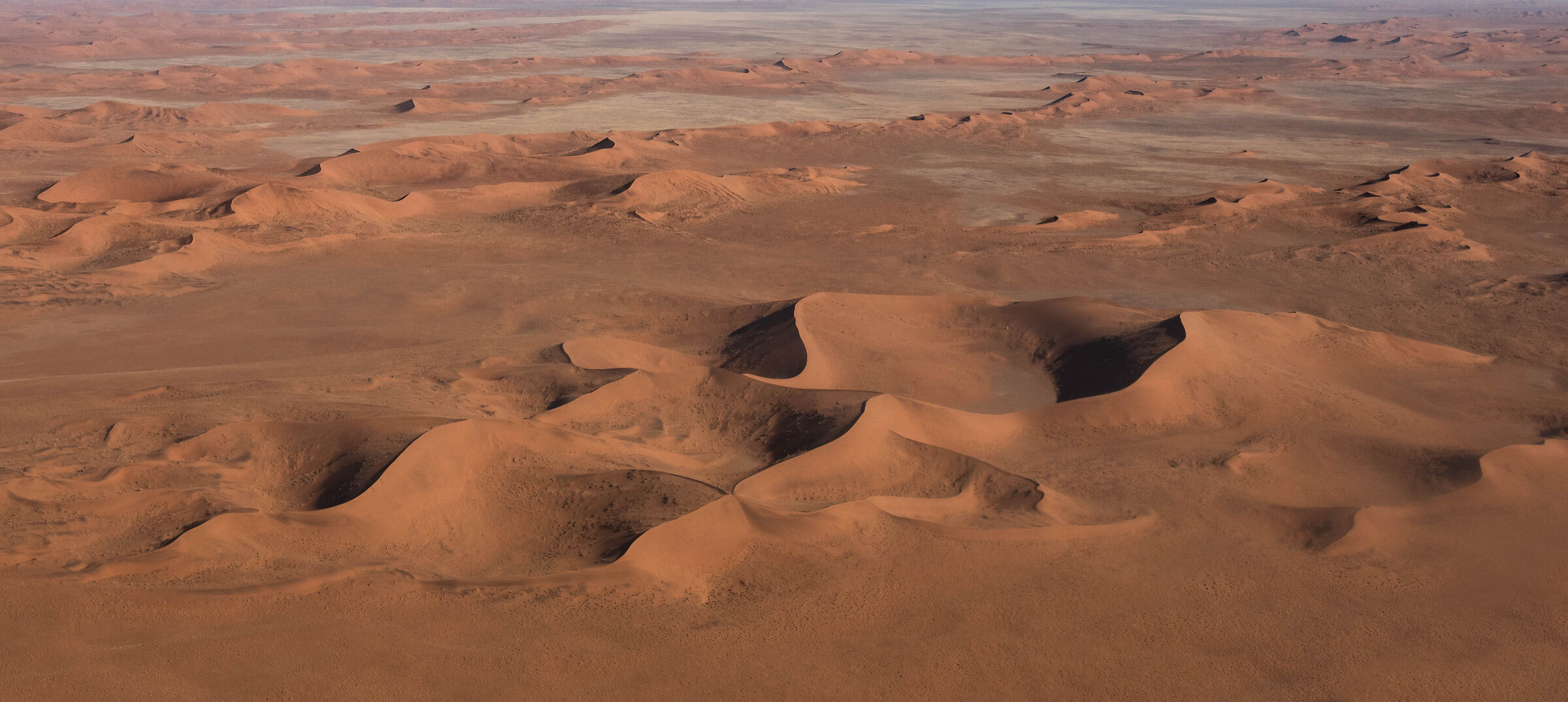 the designs of the Namib