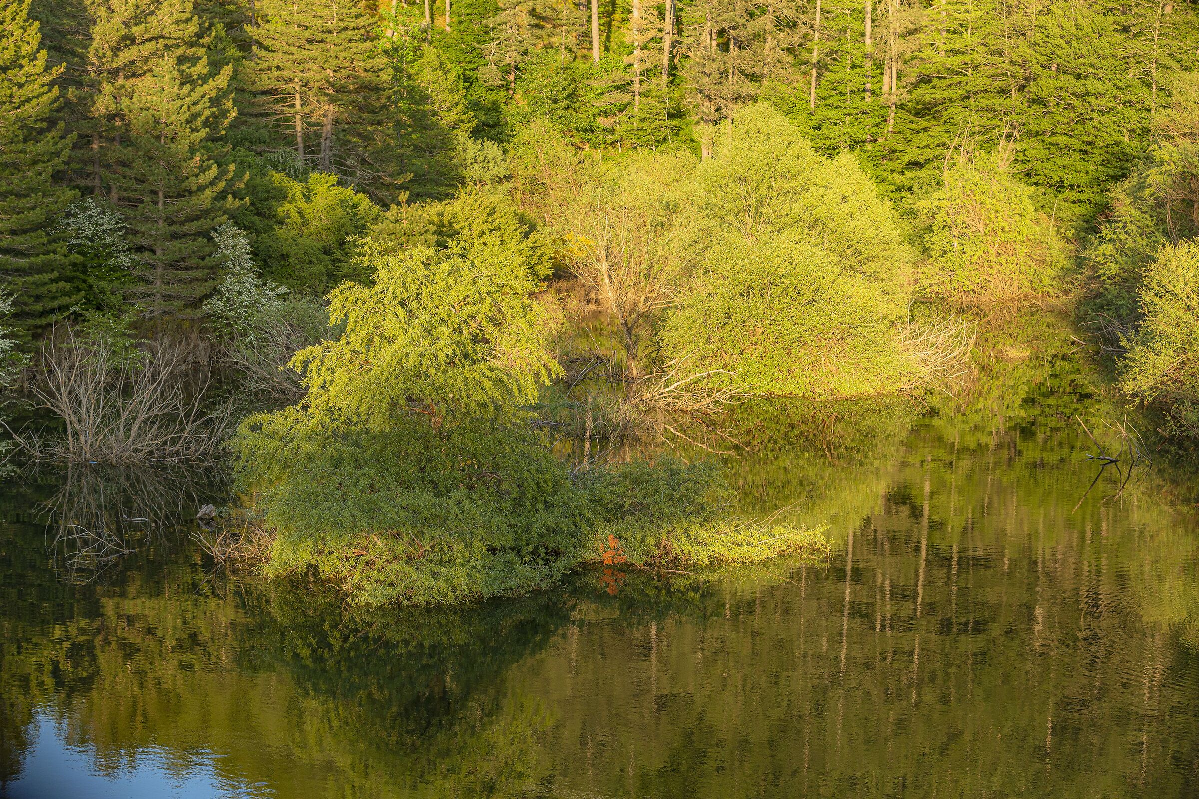 tramonto "lago Cecita"