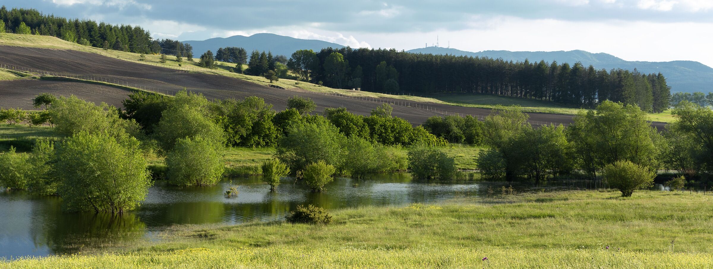 particolare lago Cecita