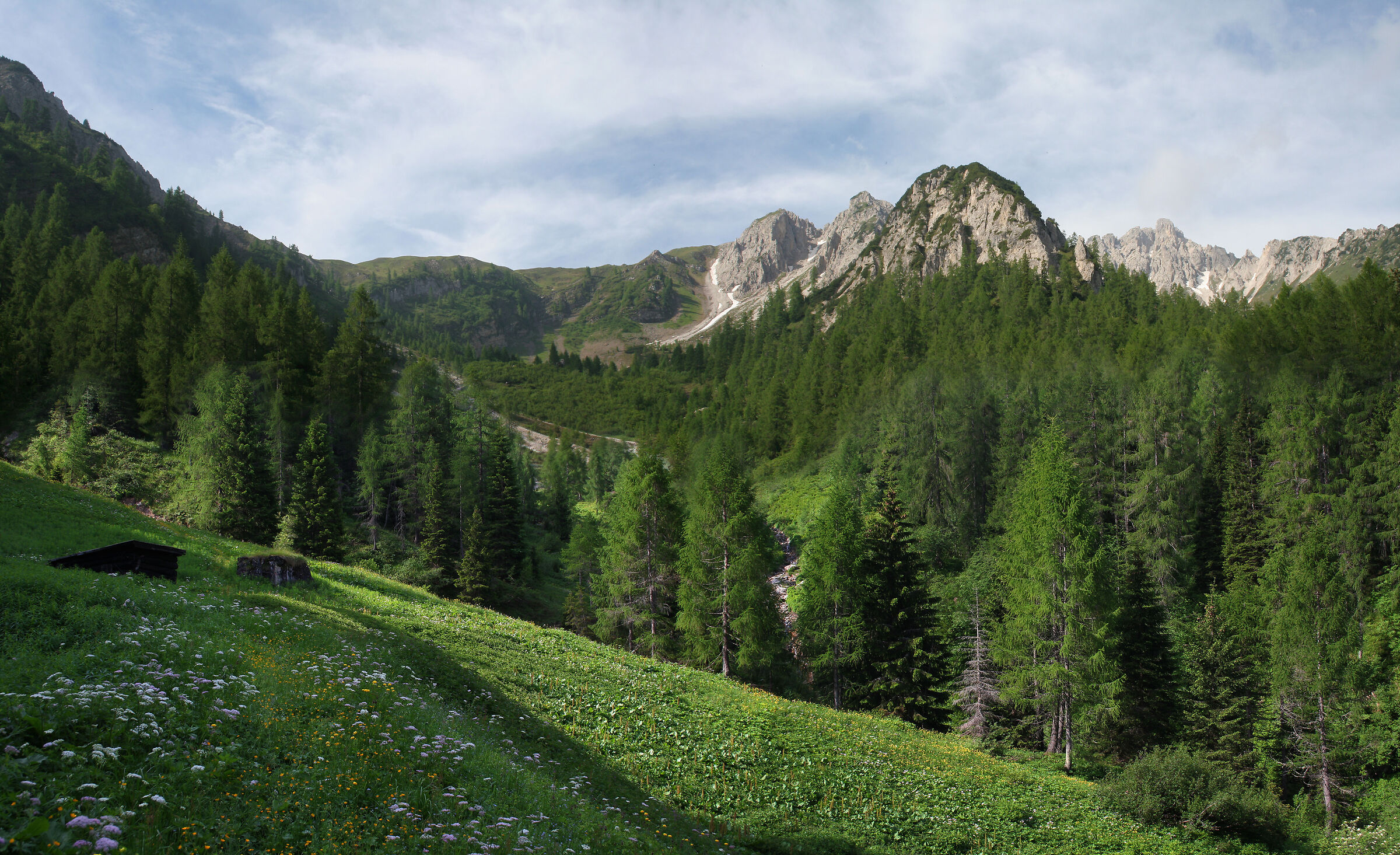 Malga Cablone, Val D'Arnò (side of the Val di Breguzz...