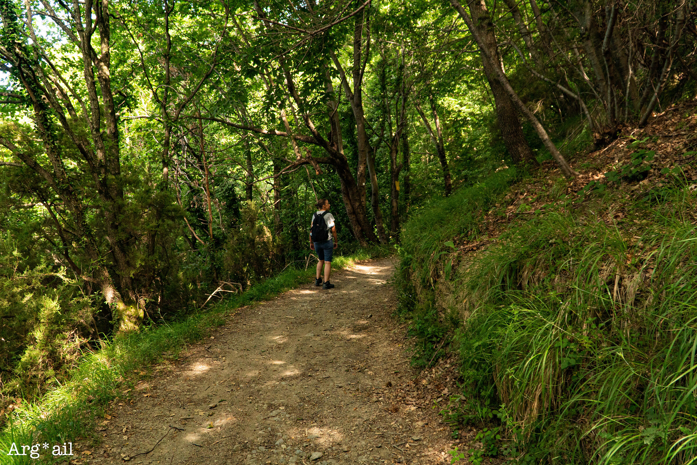 Lorefici Trail