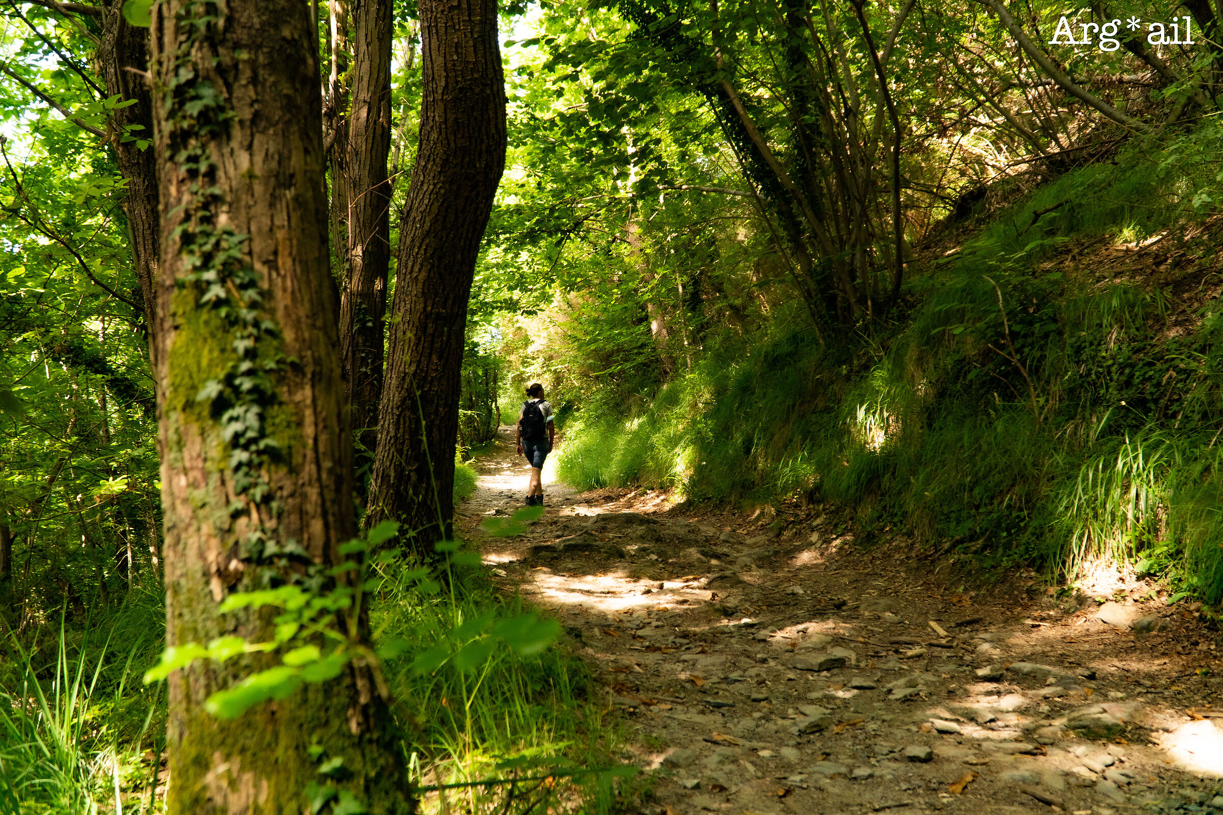 Lorefici Trail