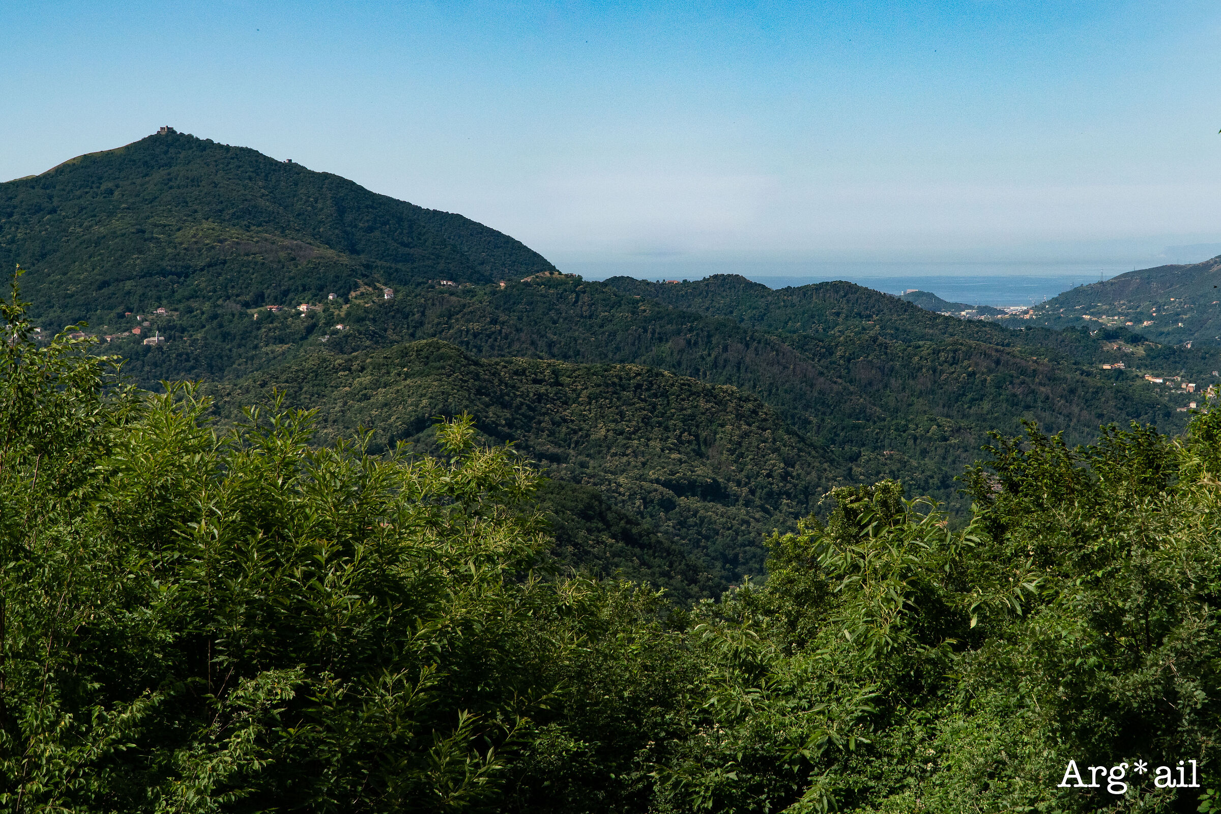 panorama
