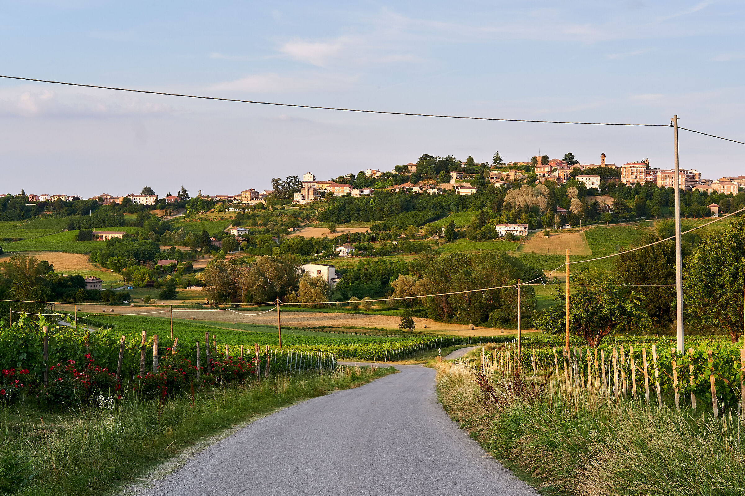 Strada tra le colline
