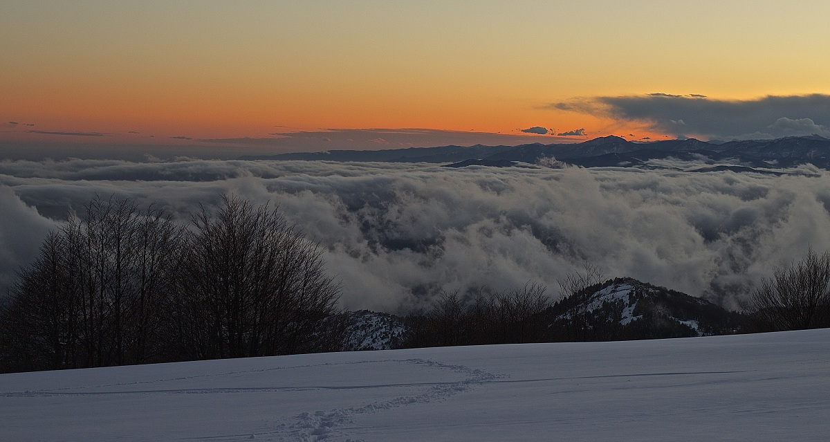 Praticamente un Paradiso