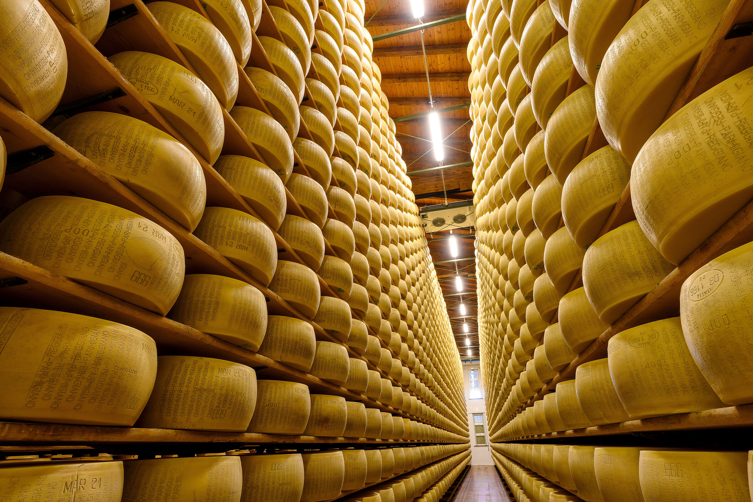 Magazzino parmigiano reggiano | z7ii