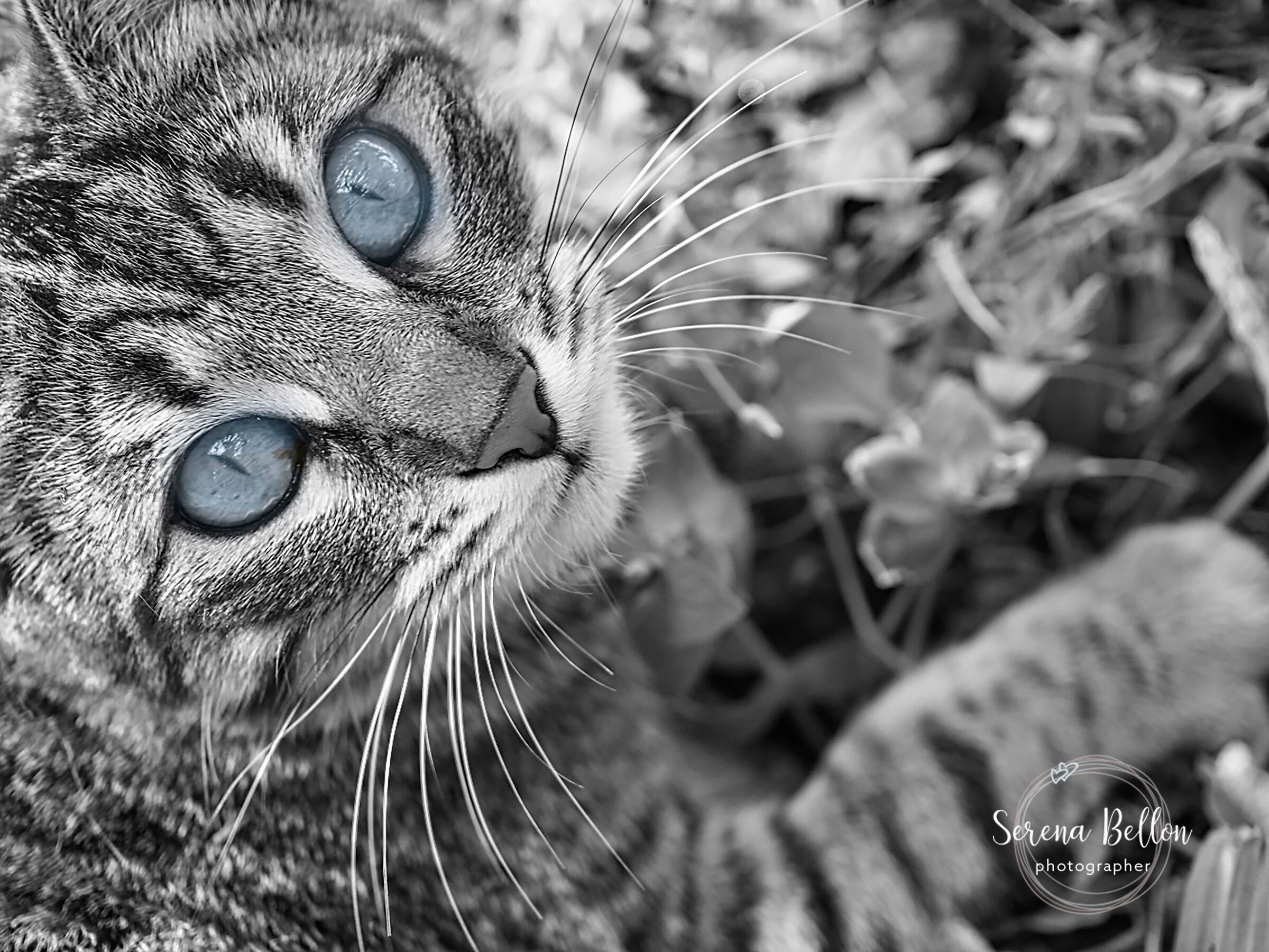 Se ti guardo bene, bene Li vedo tutti I pensieri che ha