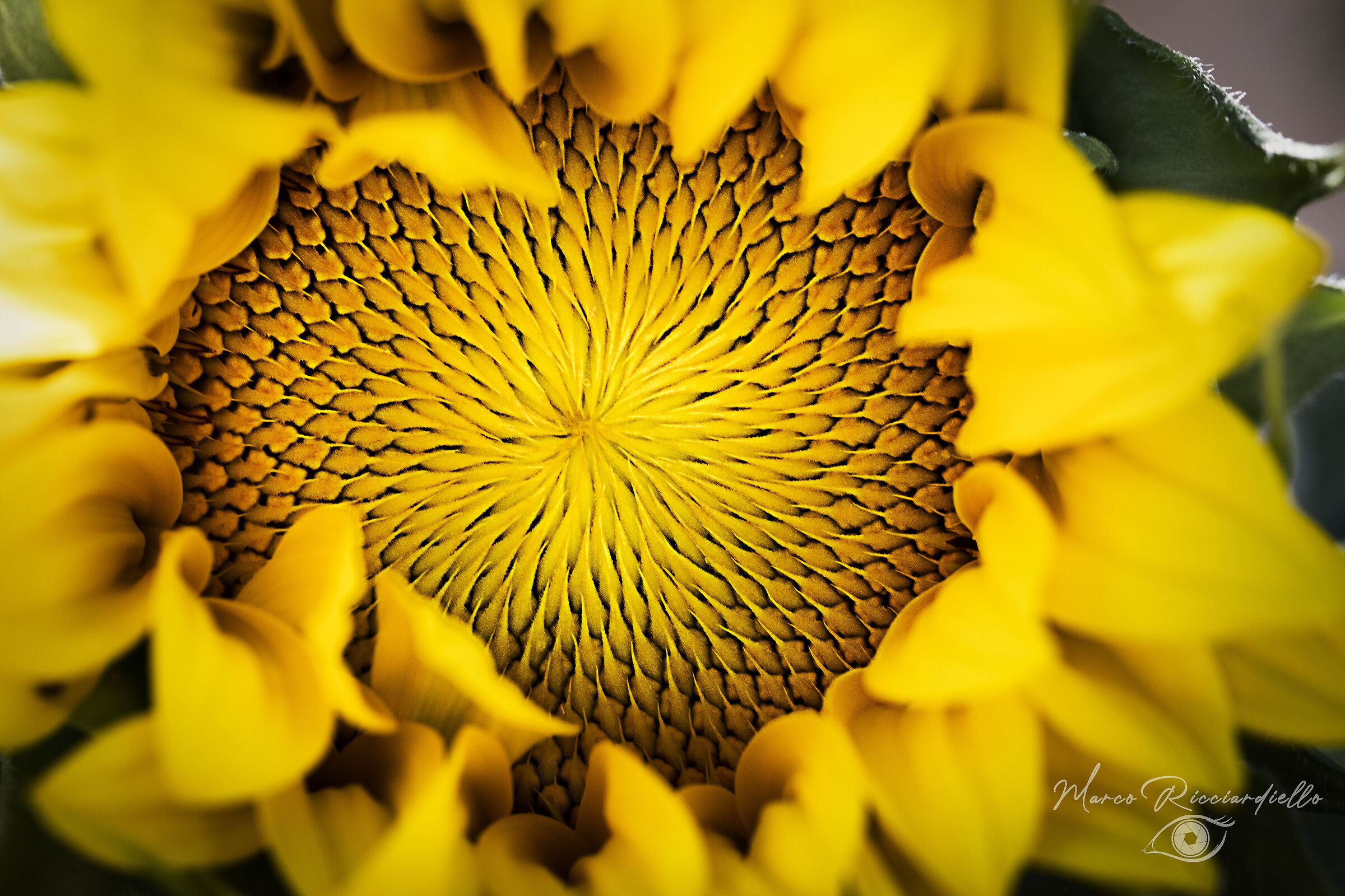 Untitled Photo