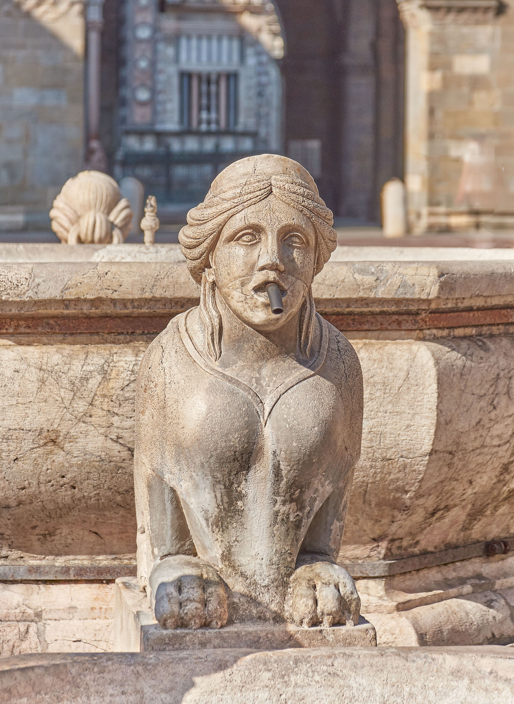 Sfinge di fontana Contarini - Piazza Vecchia