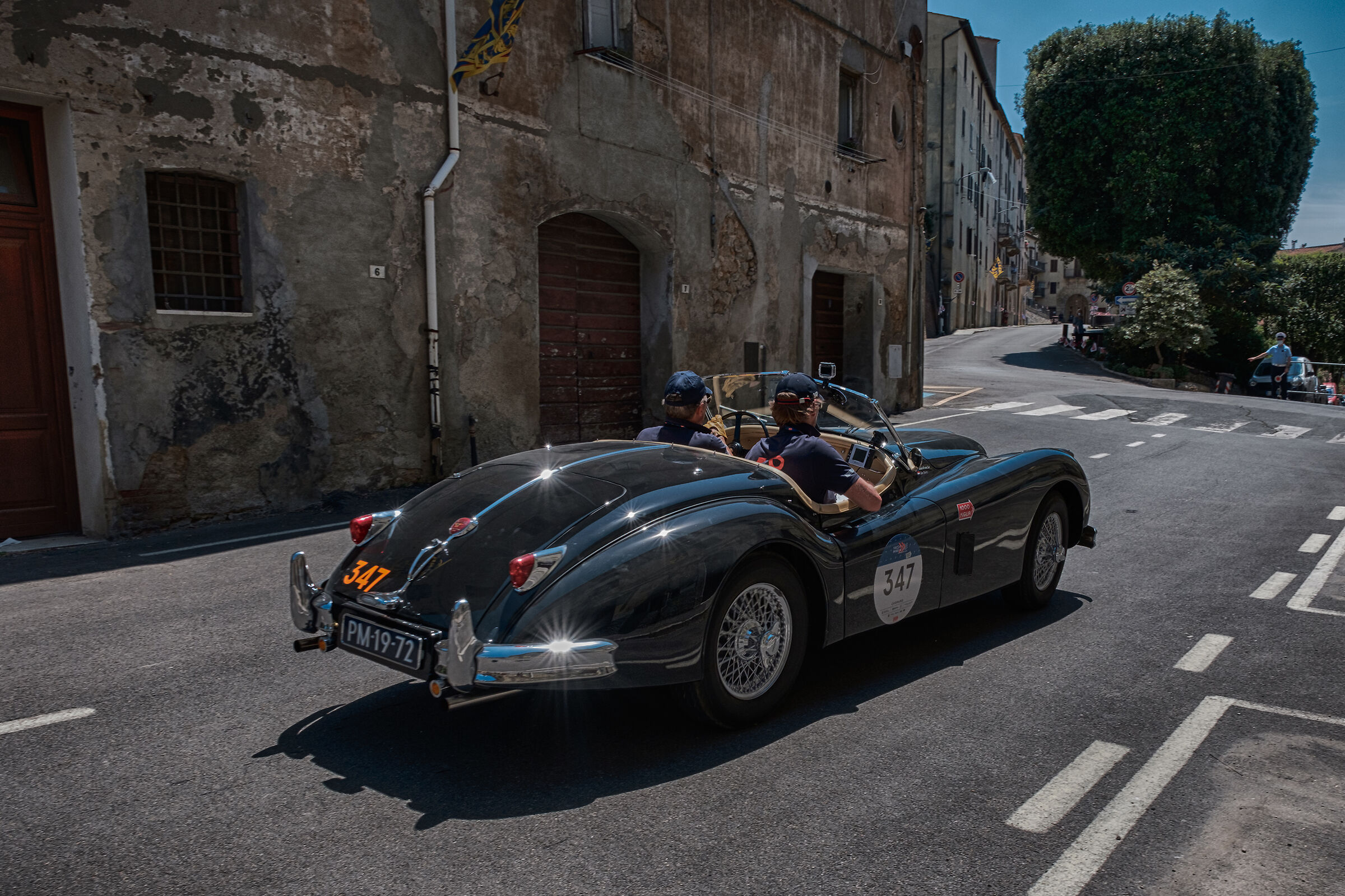 Evers-Van Lee Massa Marittima