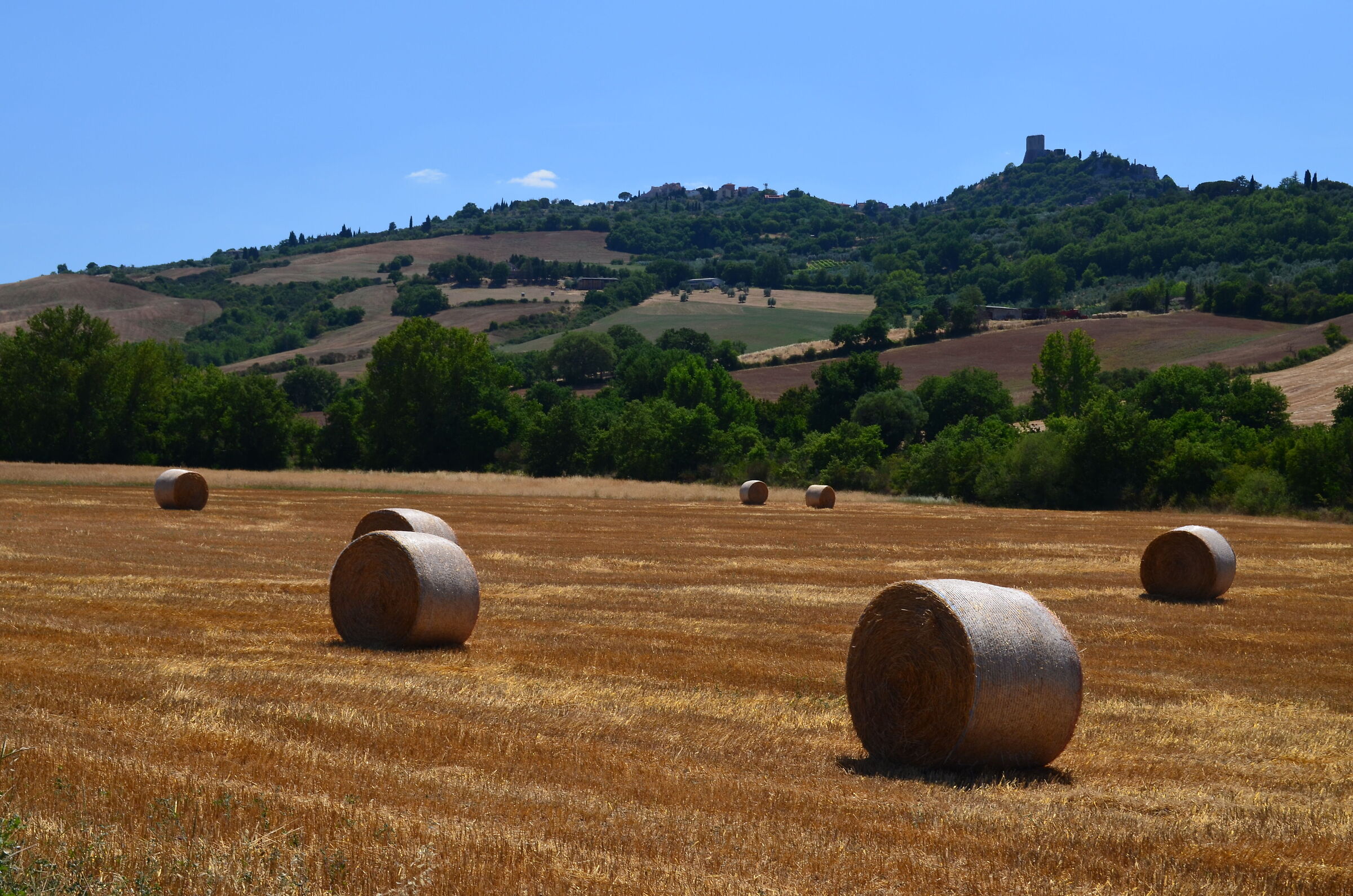 Rotoballe in Toscana