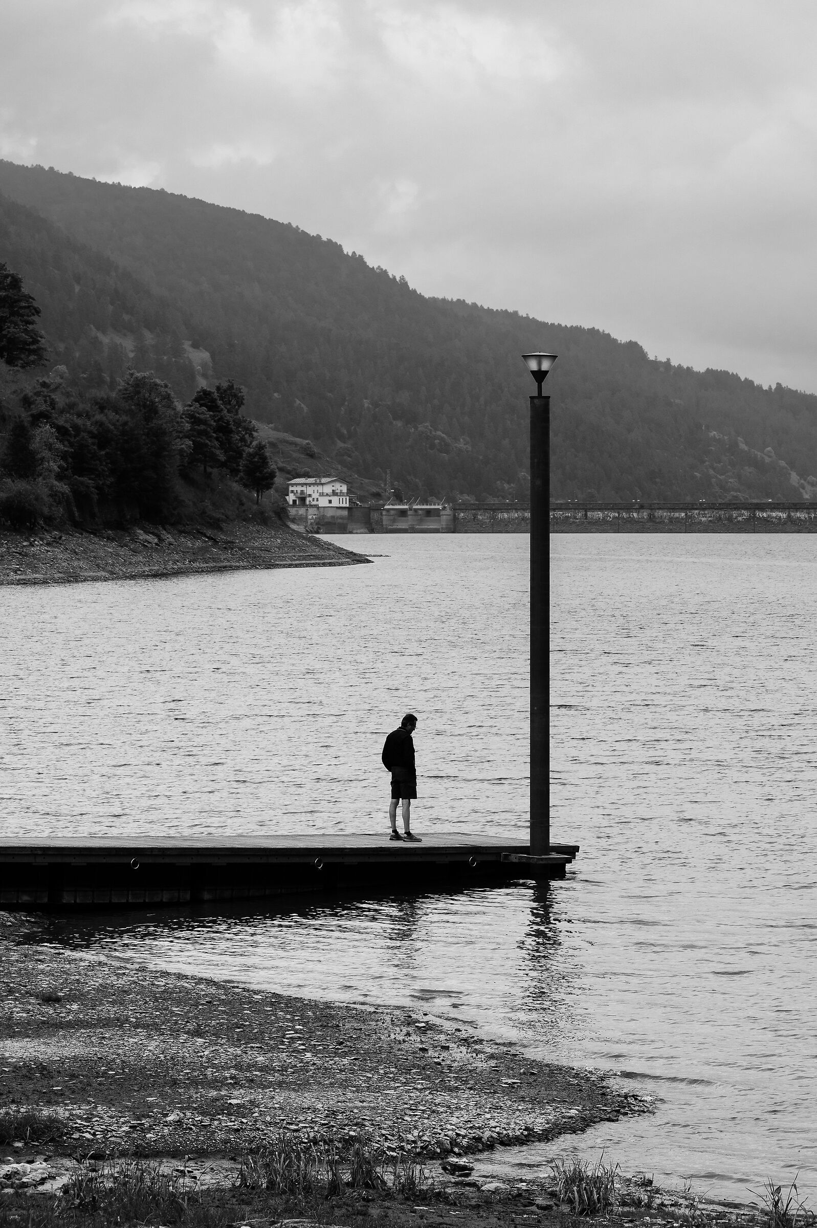 The Man and the Lamppost