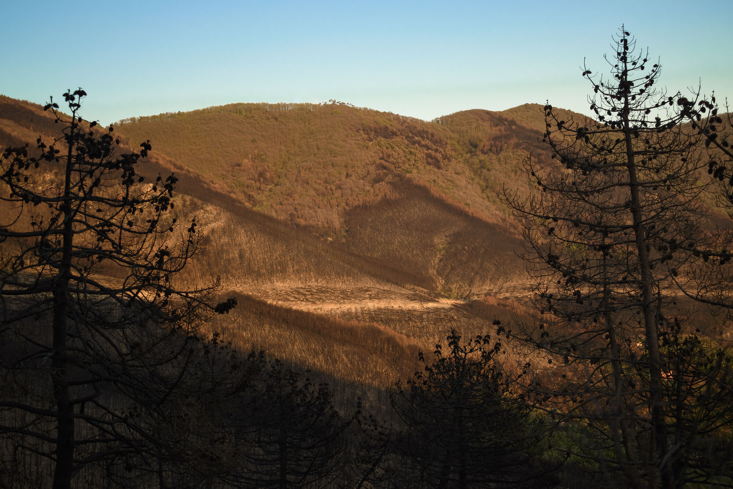 Quando la stupidità entra in azione... (1)