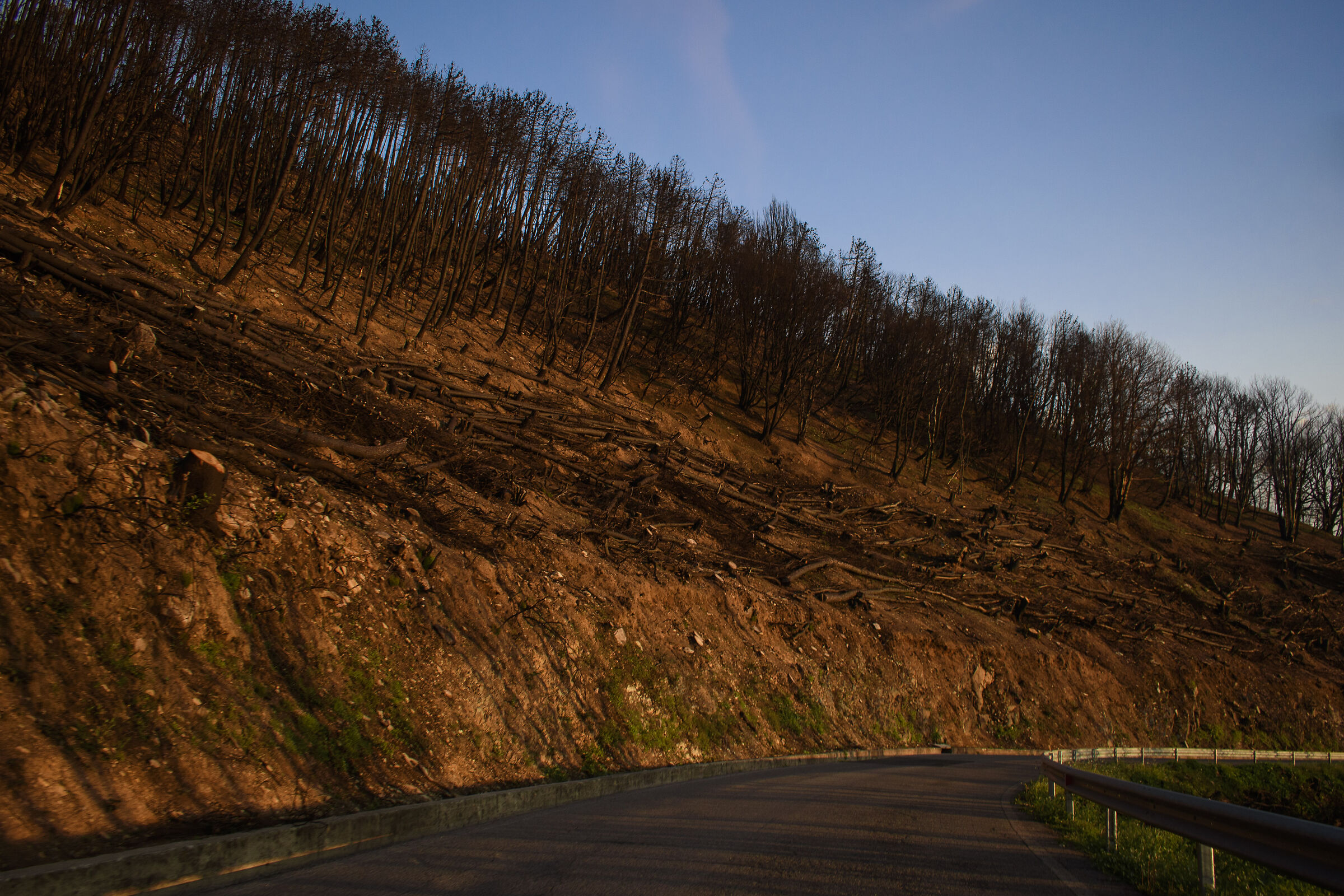 Quando la stupidità entra in azione... (2)