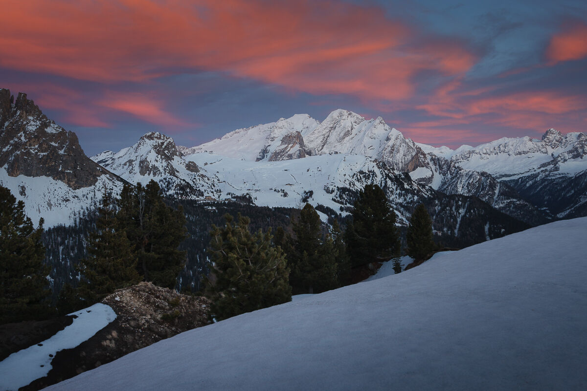 The Queen and her court ...