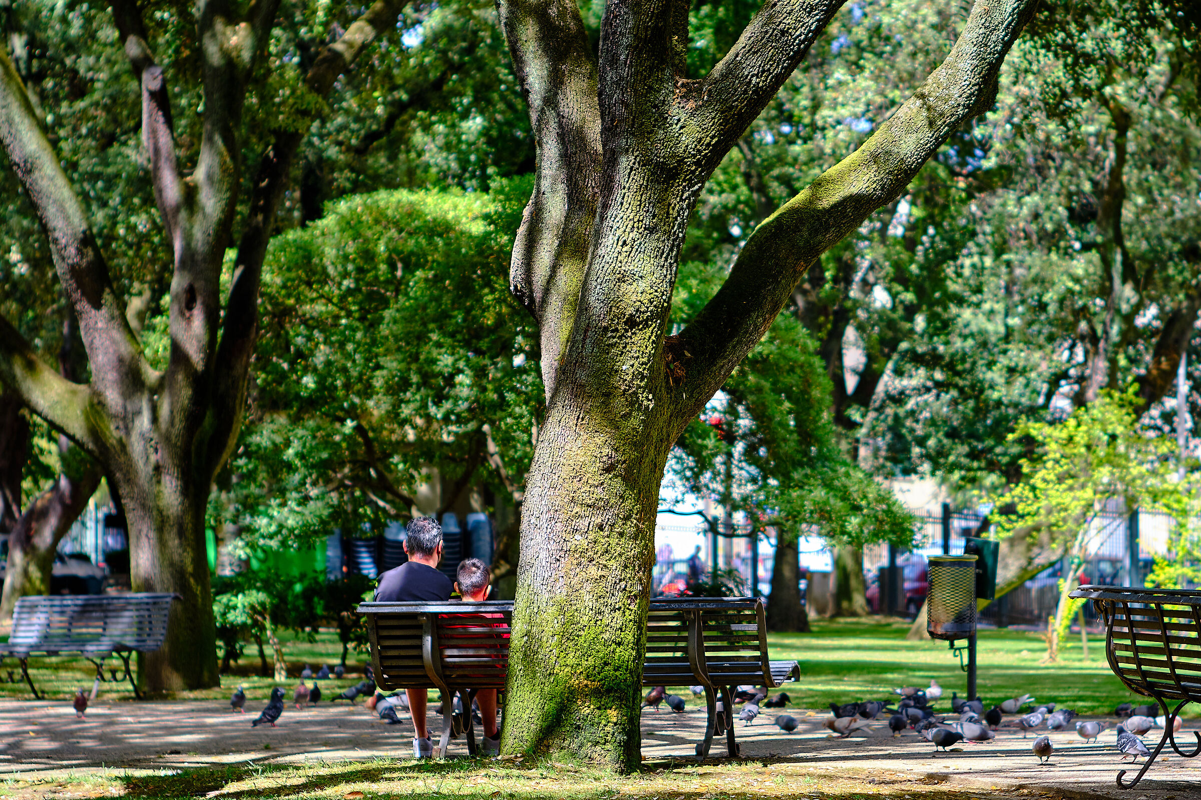 public gardens, sassari