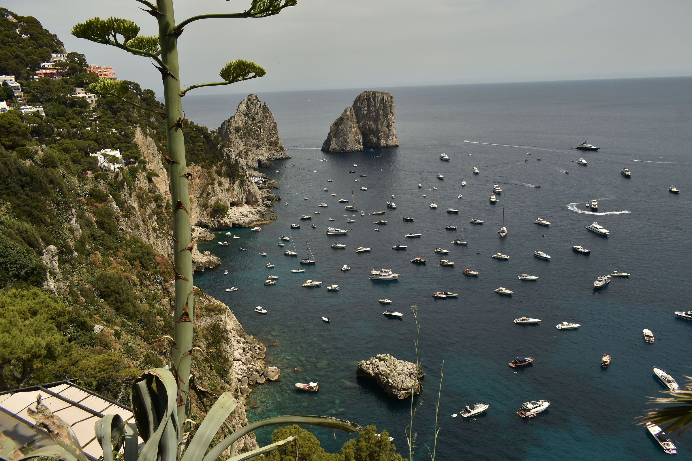 Capri