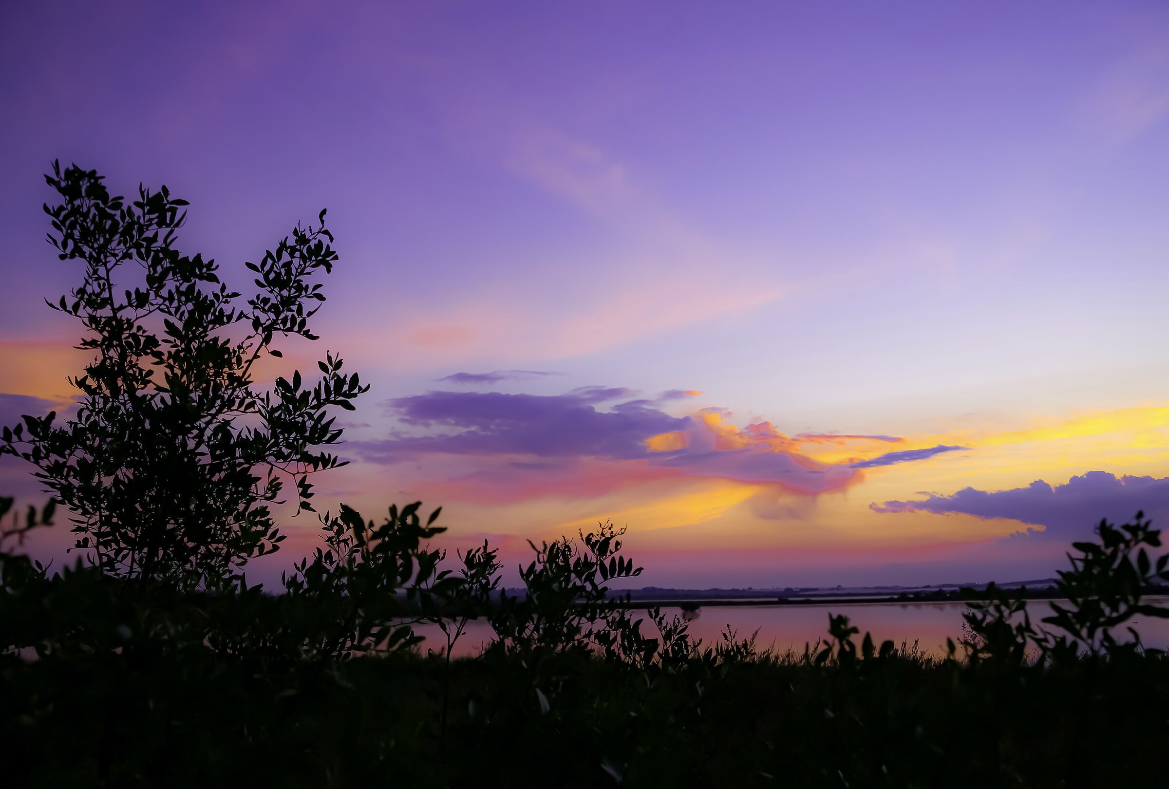 I colori della Natura