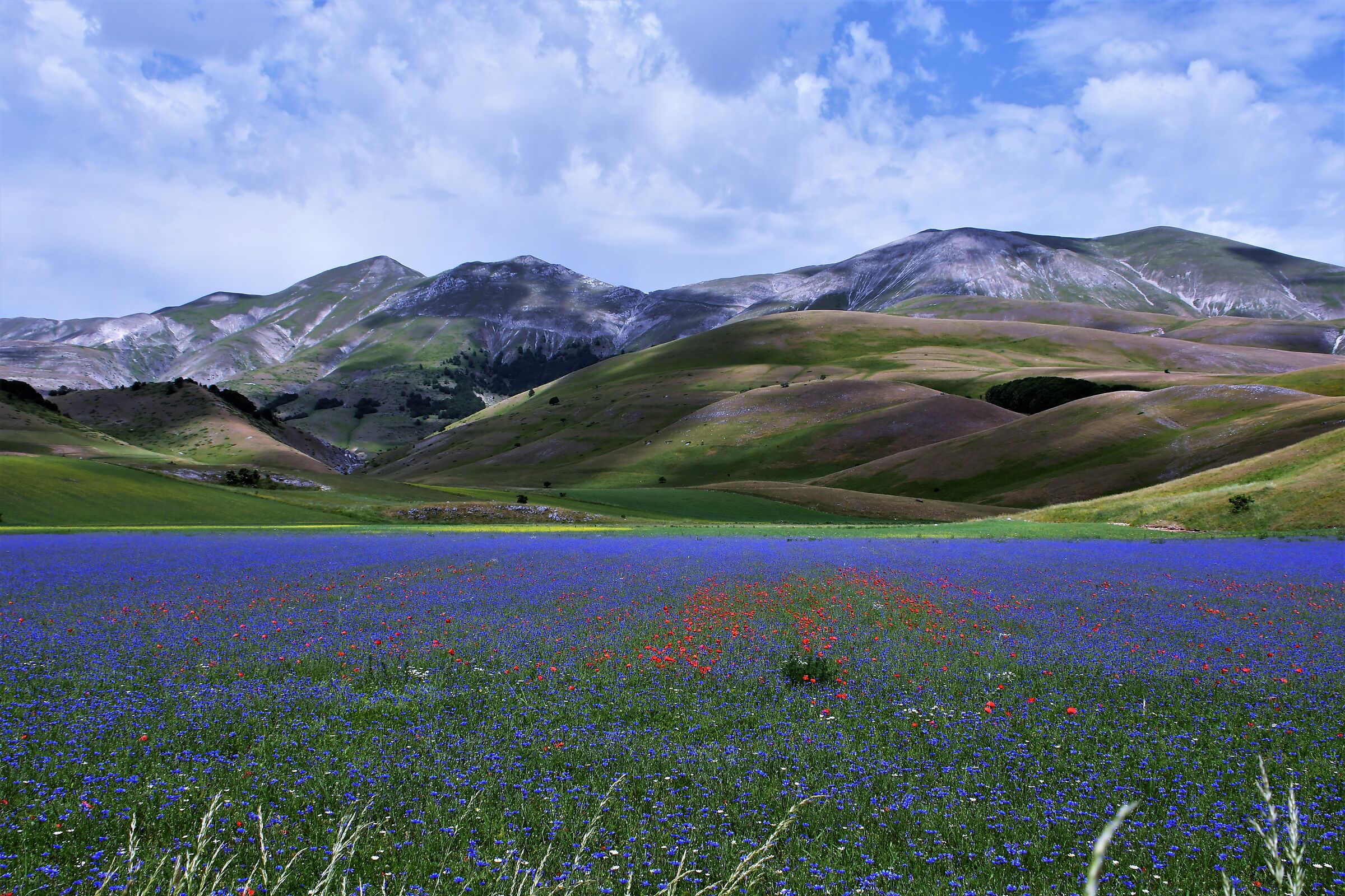 La magia di Castelluccio
