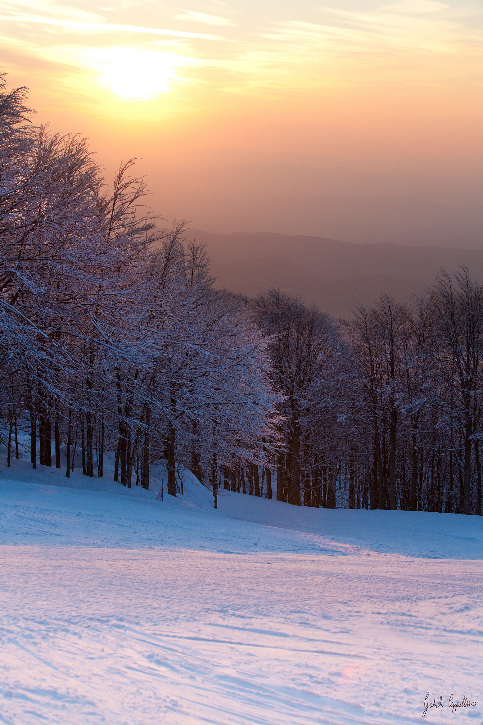 The spring around the corner?!!