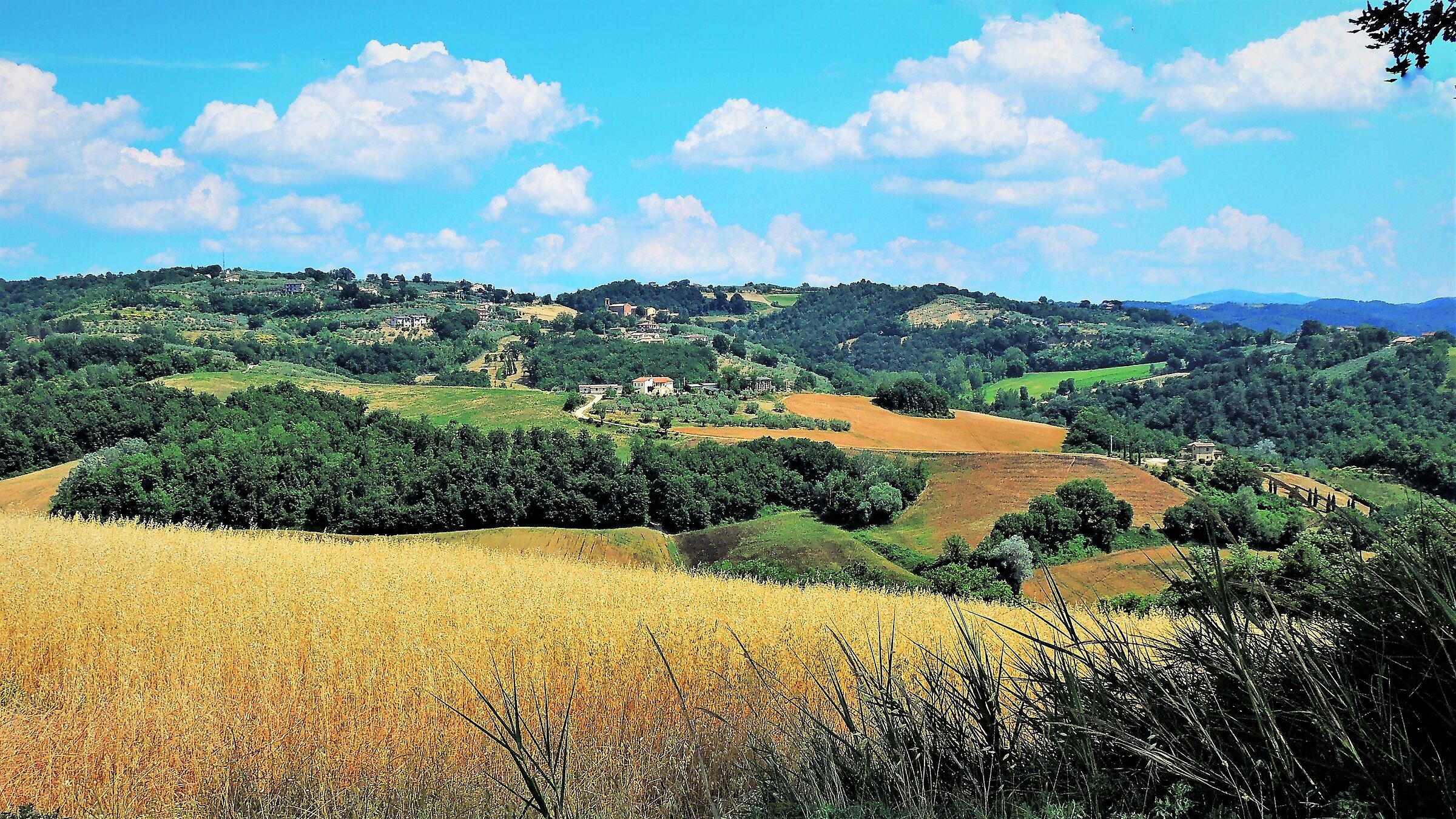 Umbrian countryside