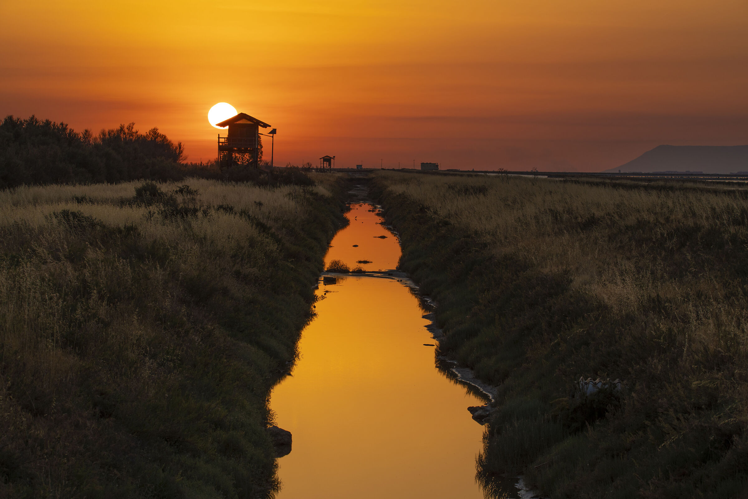 margherita di savoia salt pan