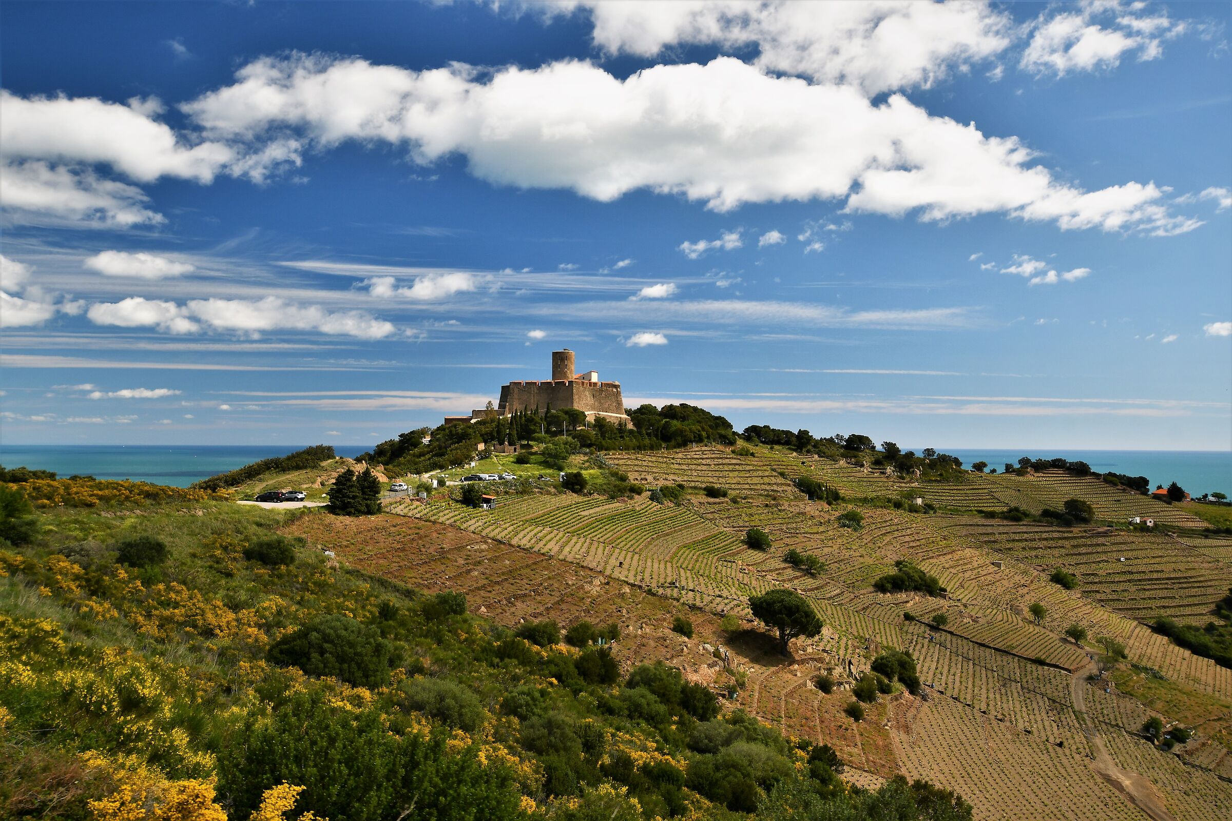 the village of Collioure in Languedoc