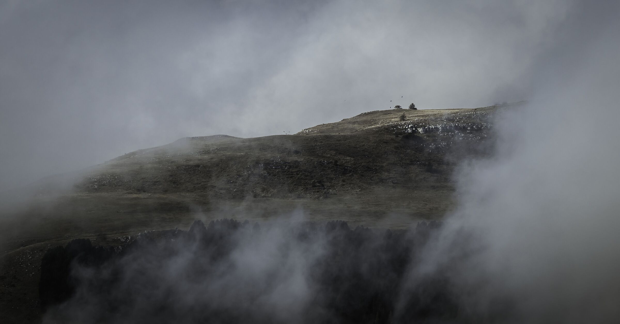 Praterie nascoste...