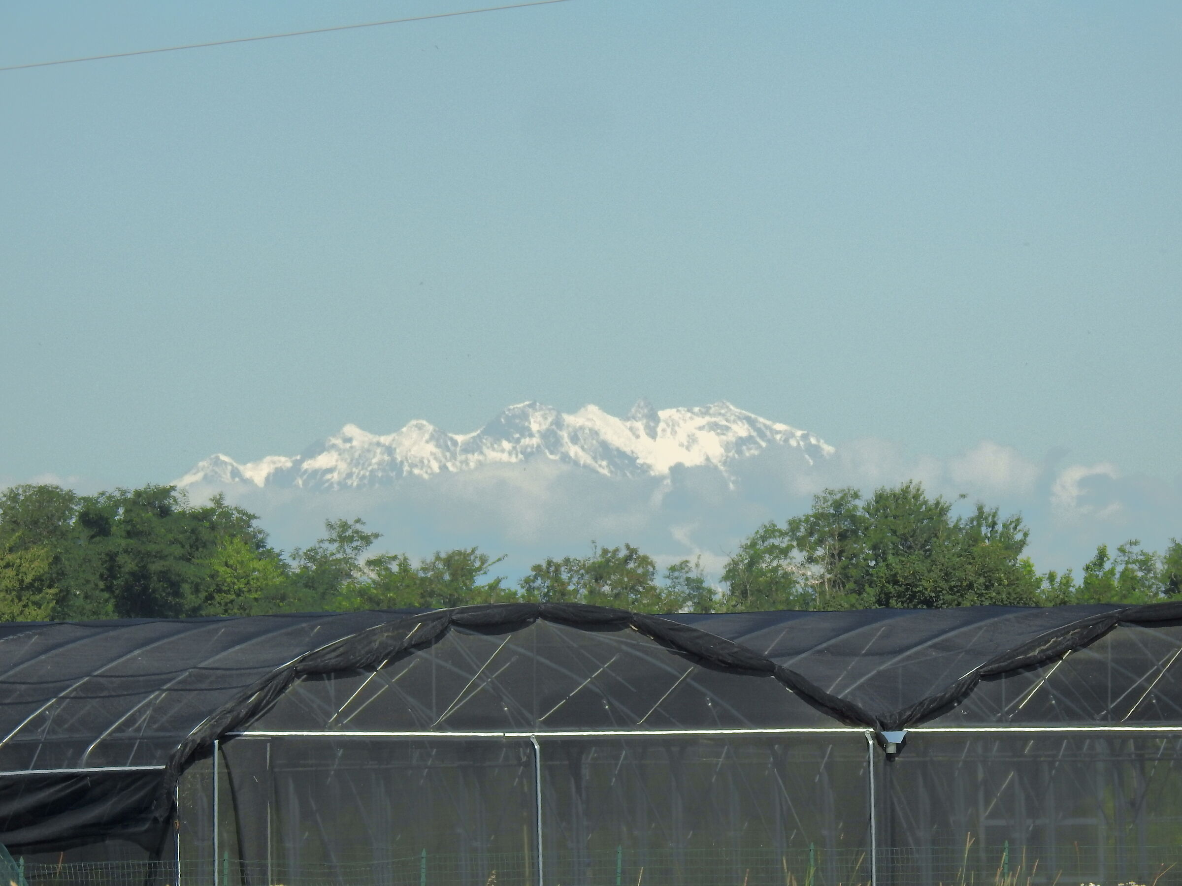 Monte Rosa Live 2021