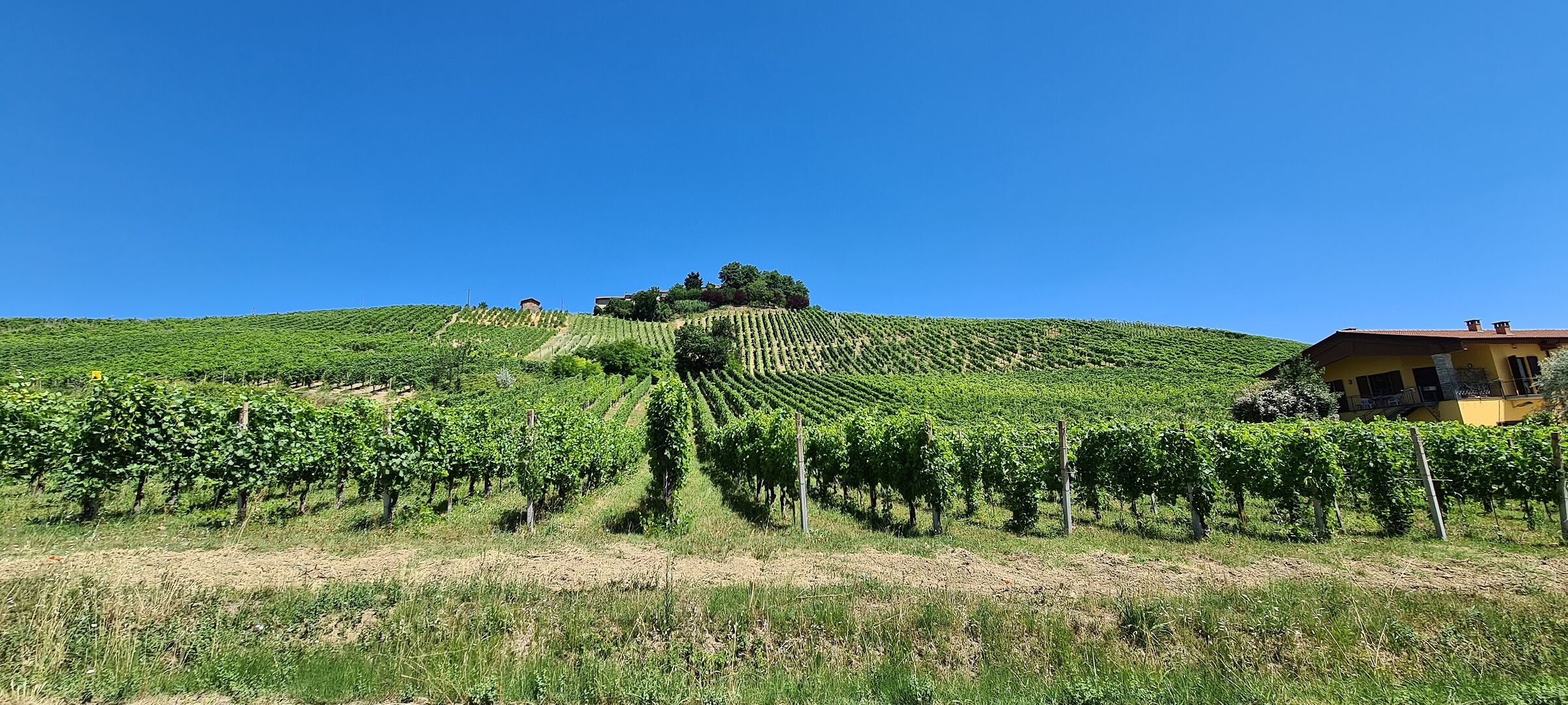 Colline oltrepo pavese