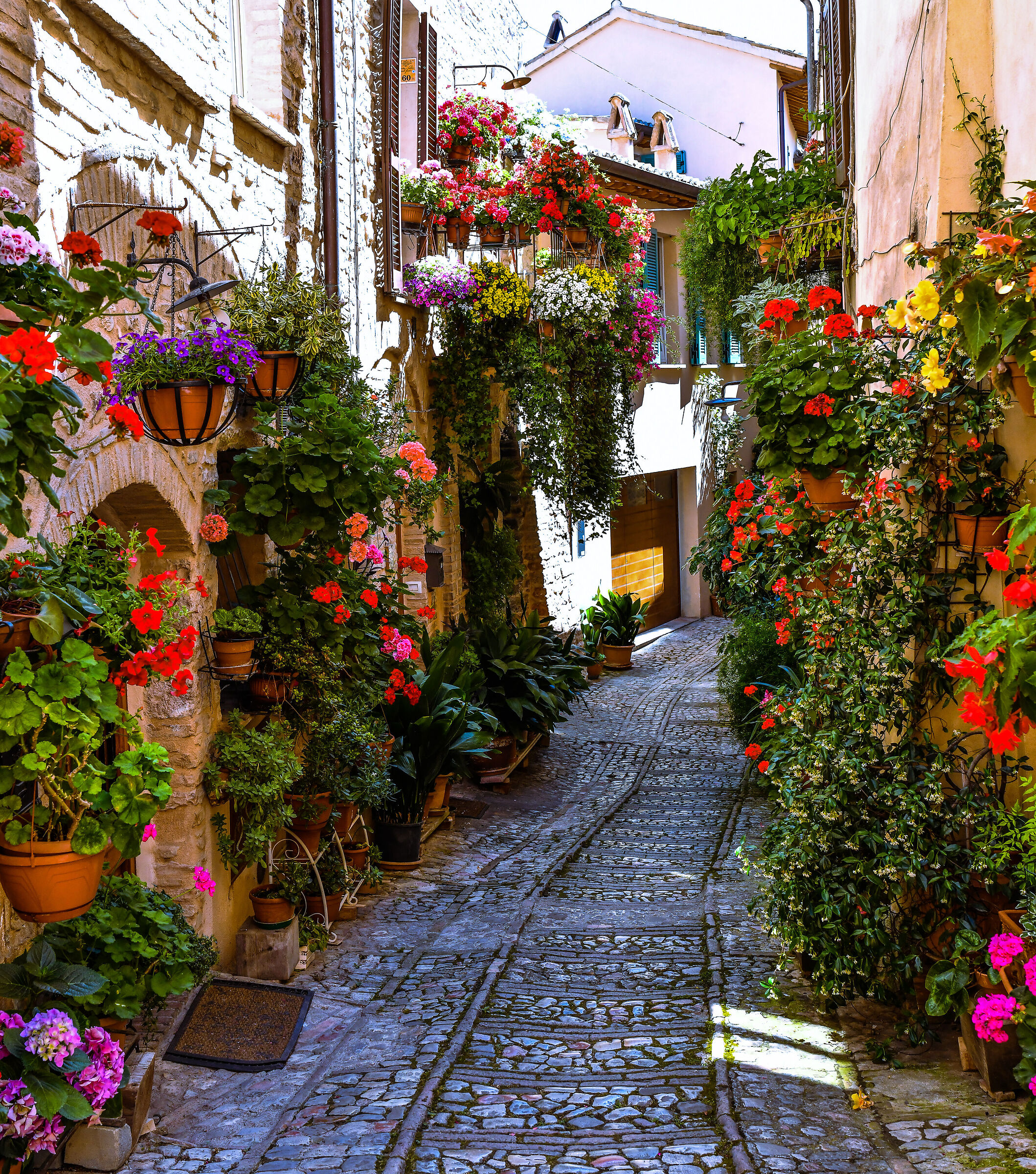 The Alleys of Spello (Pg)