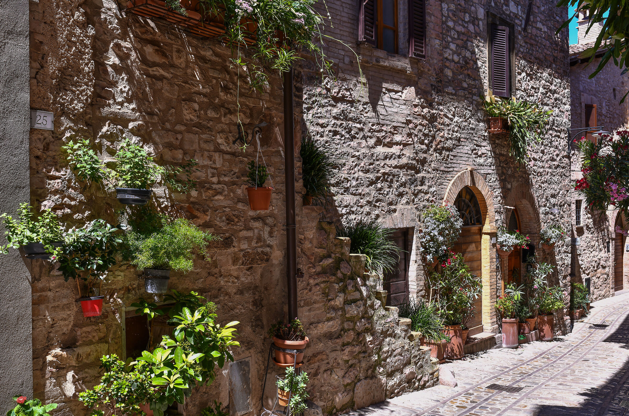The Alleys of Spello (Pg)