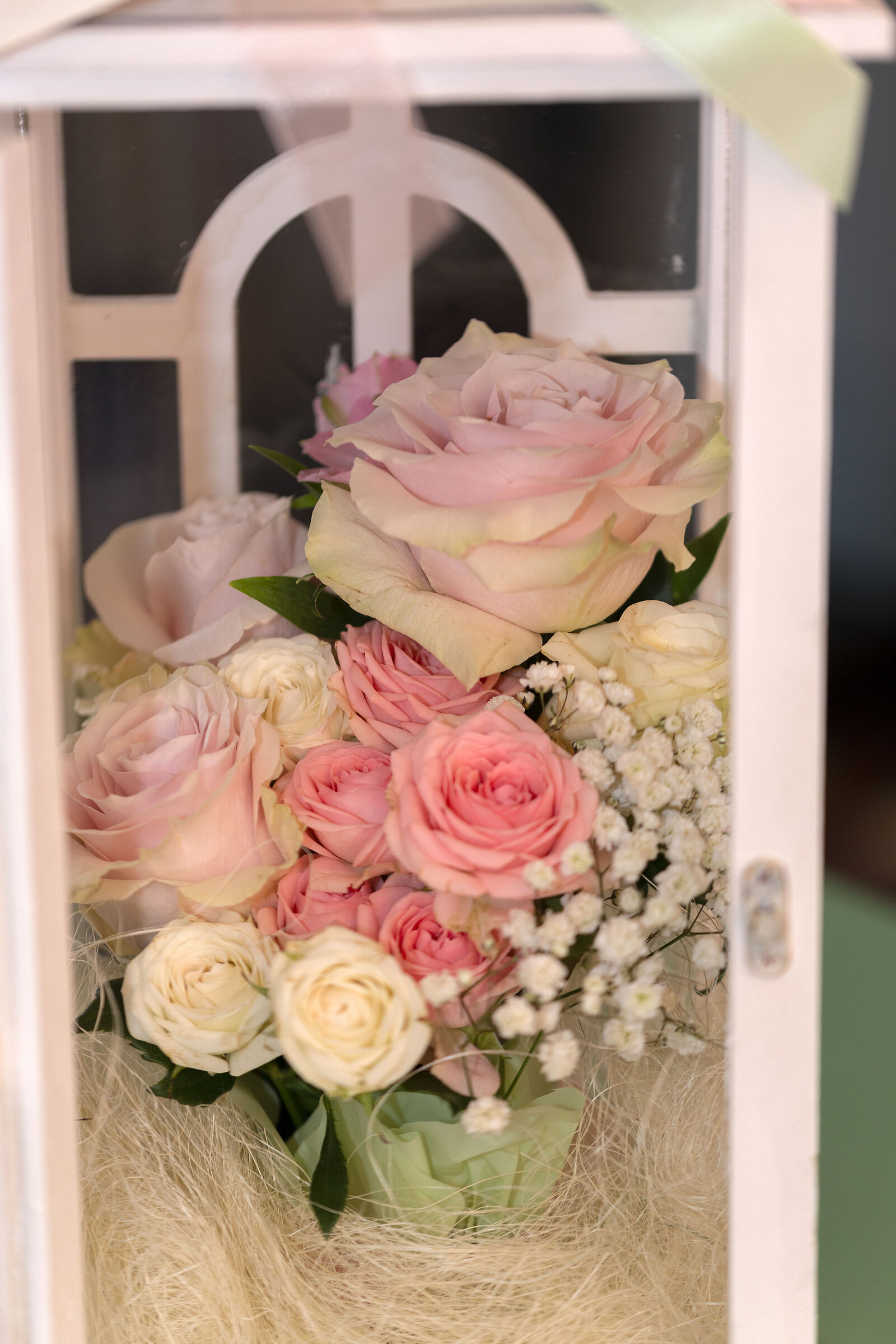 una finestra di rose