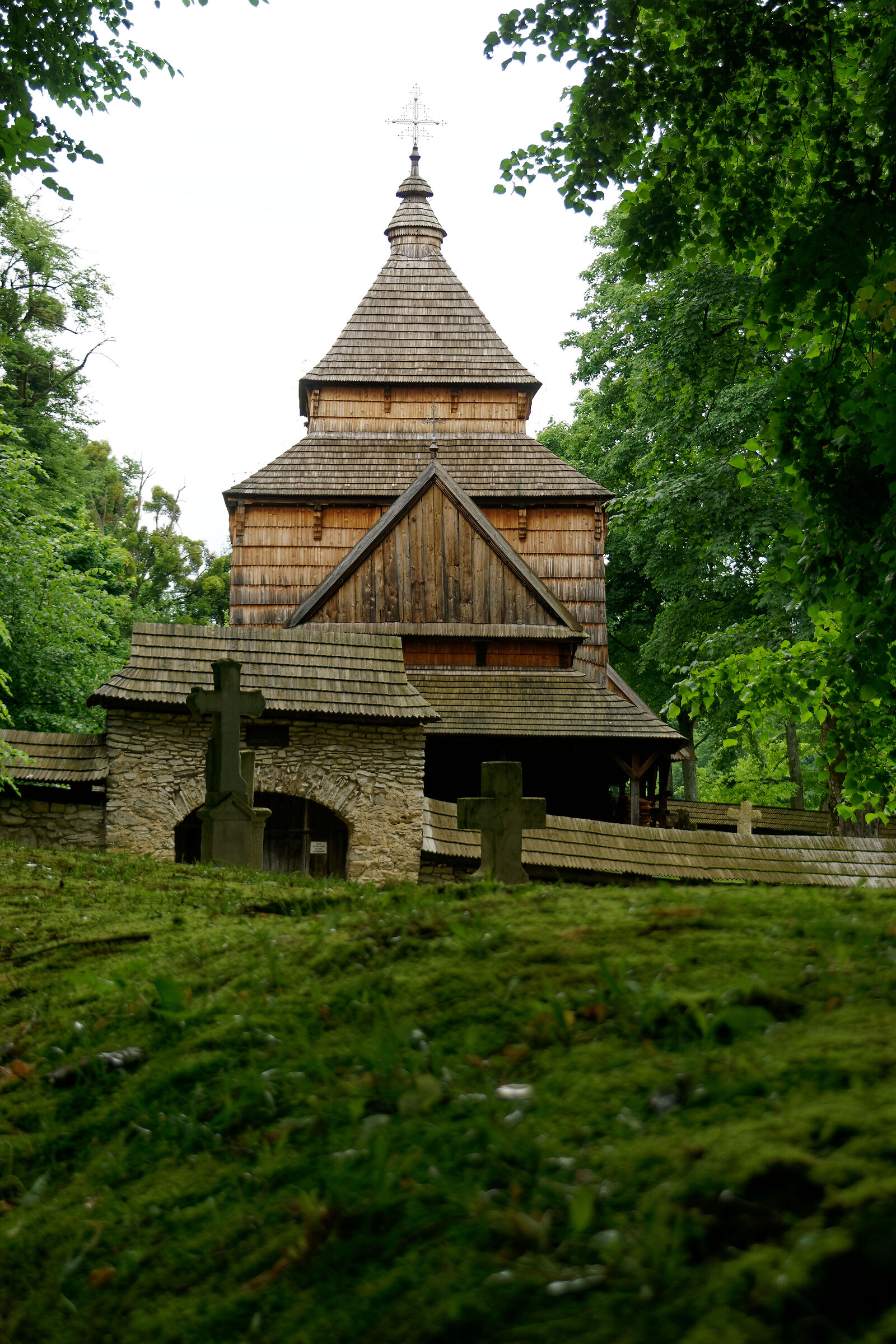 Untitled Photo