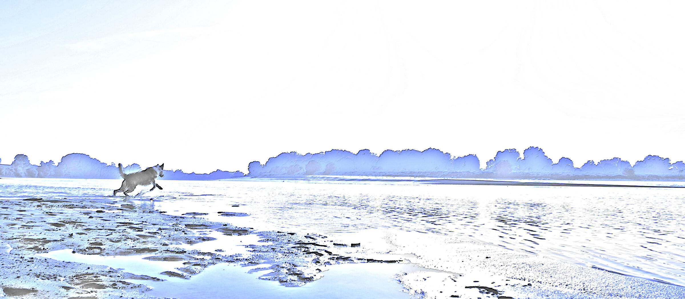 A Leap into the Blue