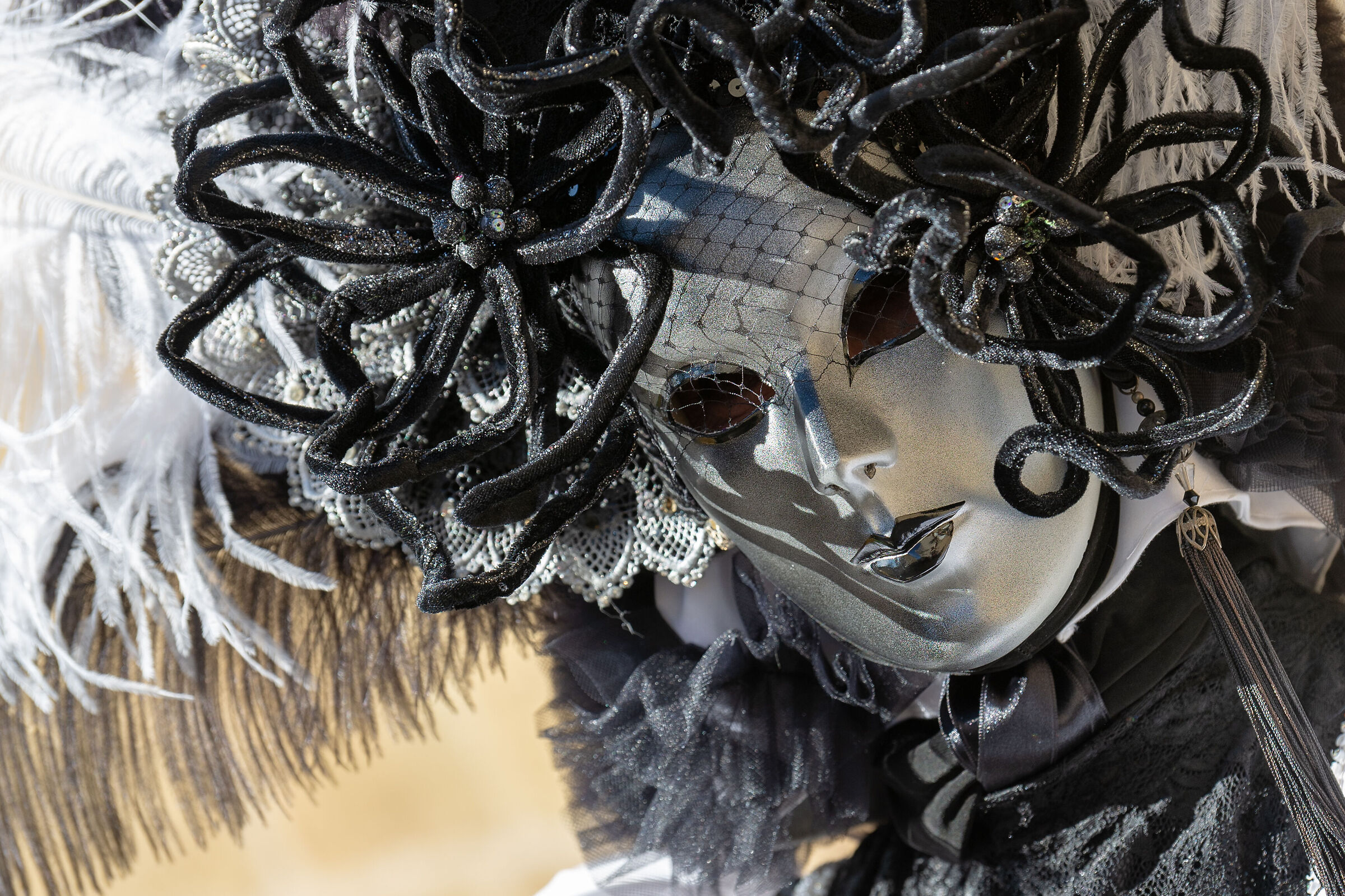 Carnival Castiglion Fibocchi 24-02-2019