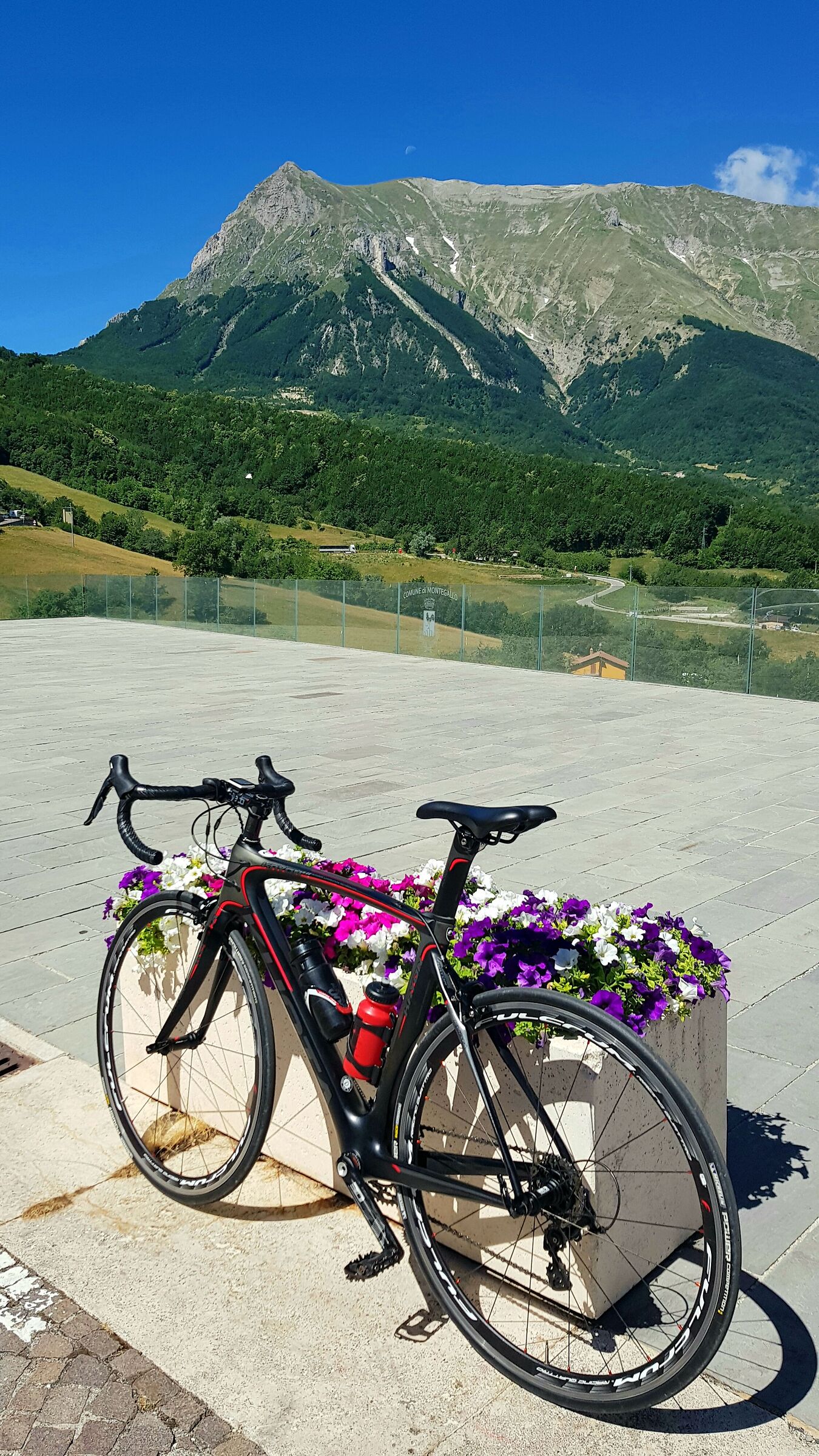 Sibyll's cyclotourist